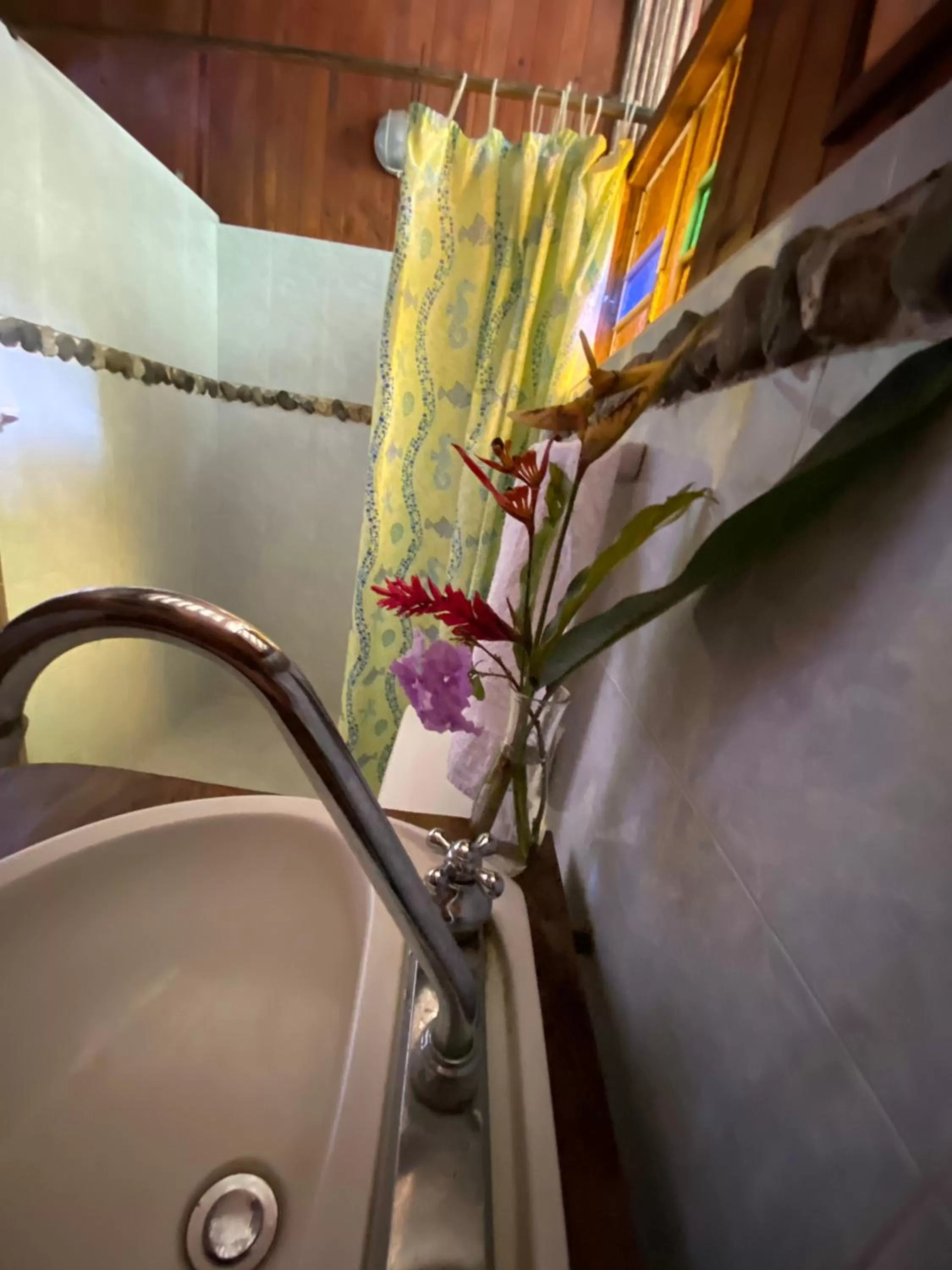 Bathroom in Posada Turística Rocas De Cabo Marzo