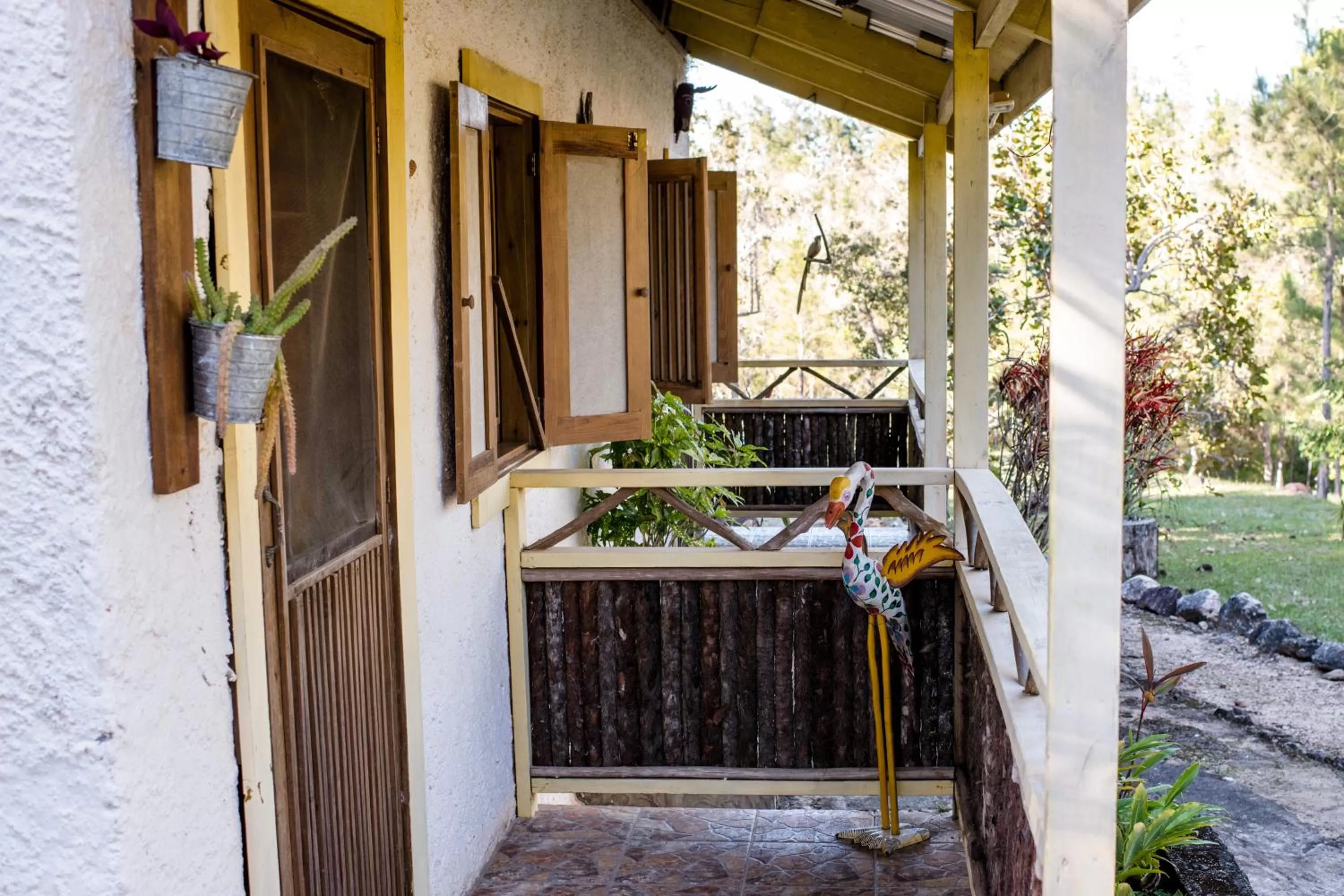 View (from property/room) in Pine Ridge Lodge