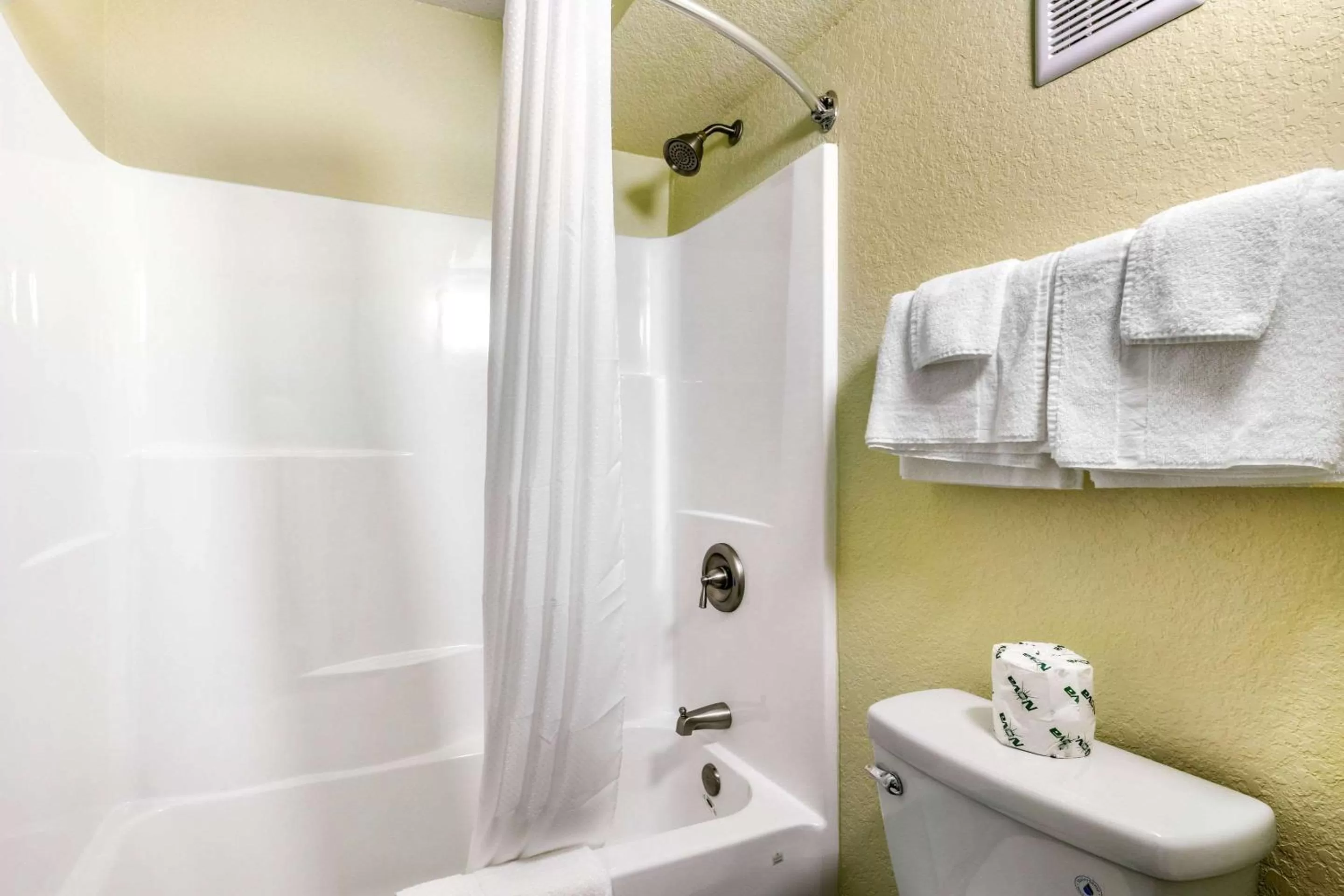 Bathroom in Rodeway Inn Kingston Springs