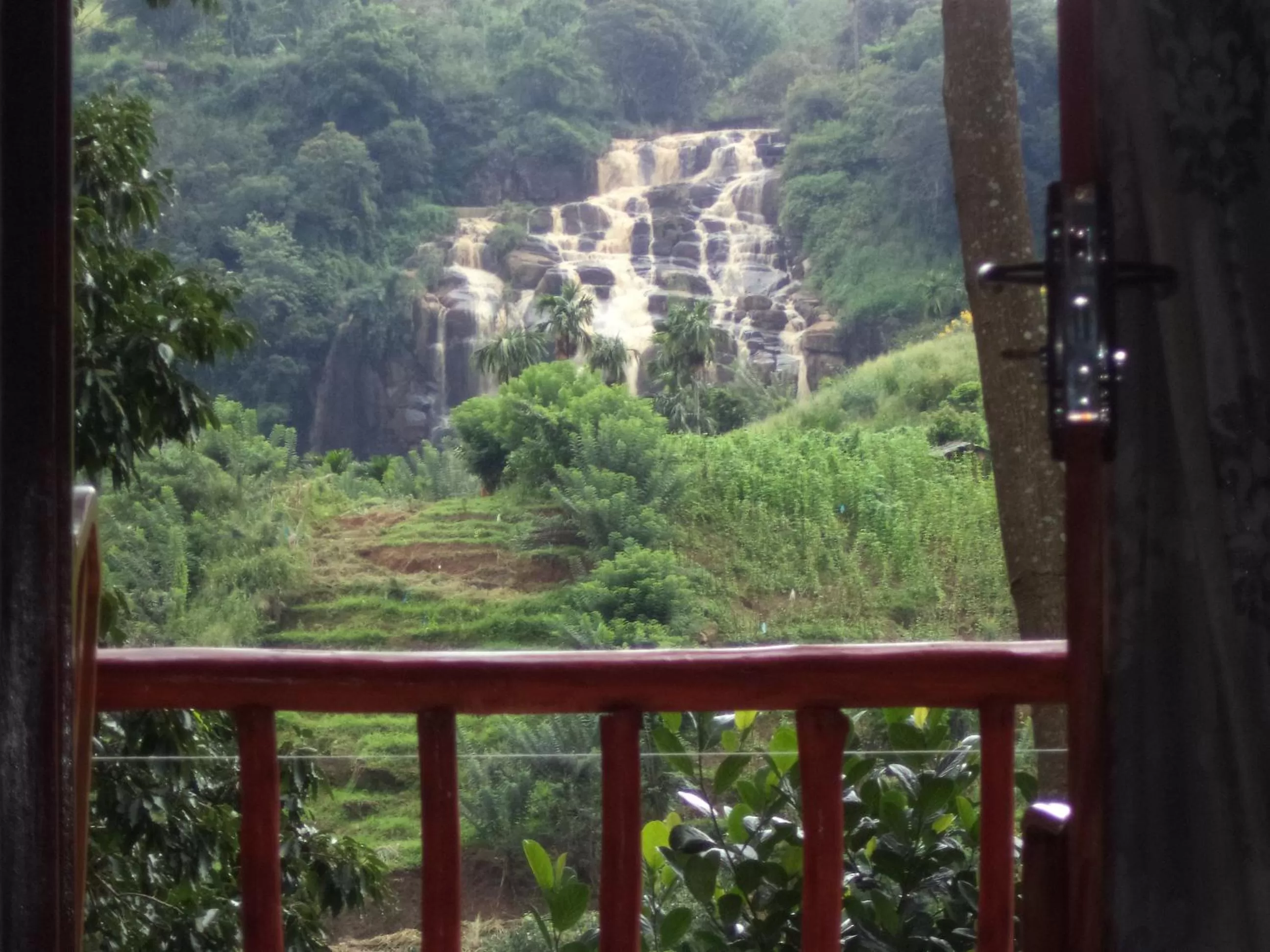 View (from property/room), Mountain View in Silent Nest