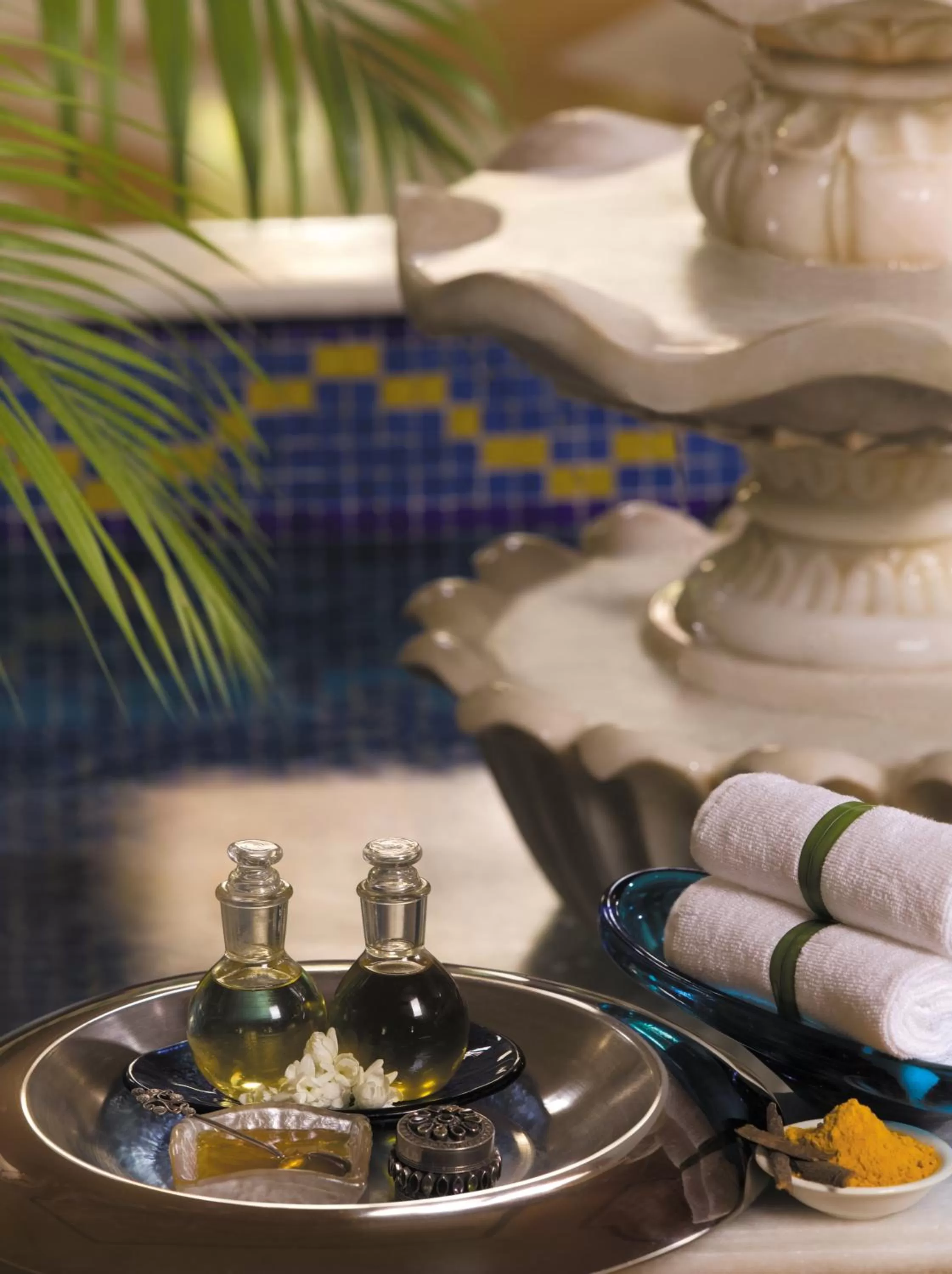 Spa and wellness centre/facilities in Taj Hari Mahal Jodhpur