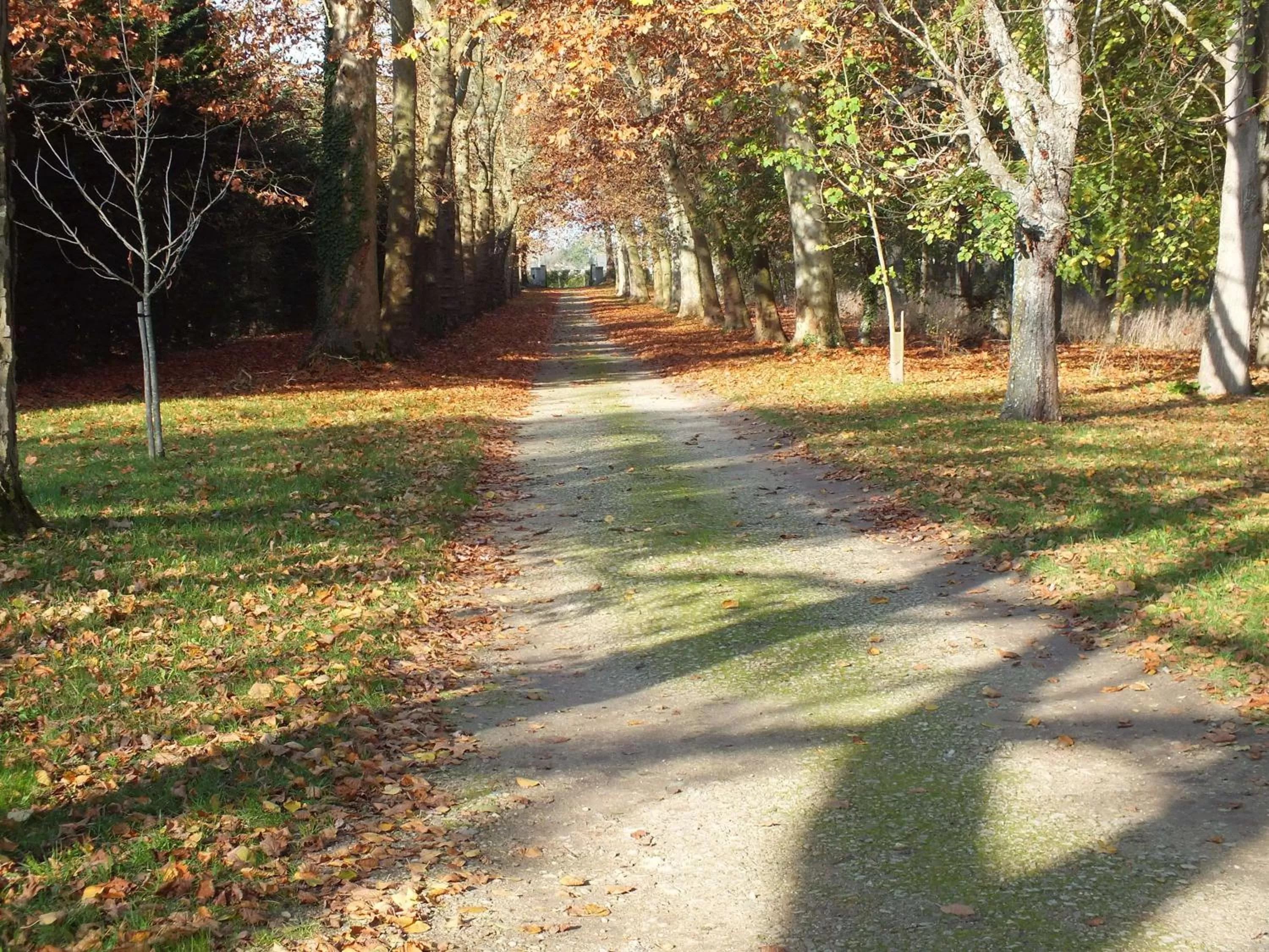 Day in Château de Nazé Vivy-Saumur