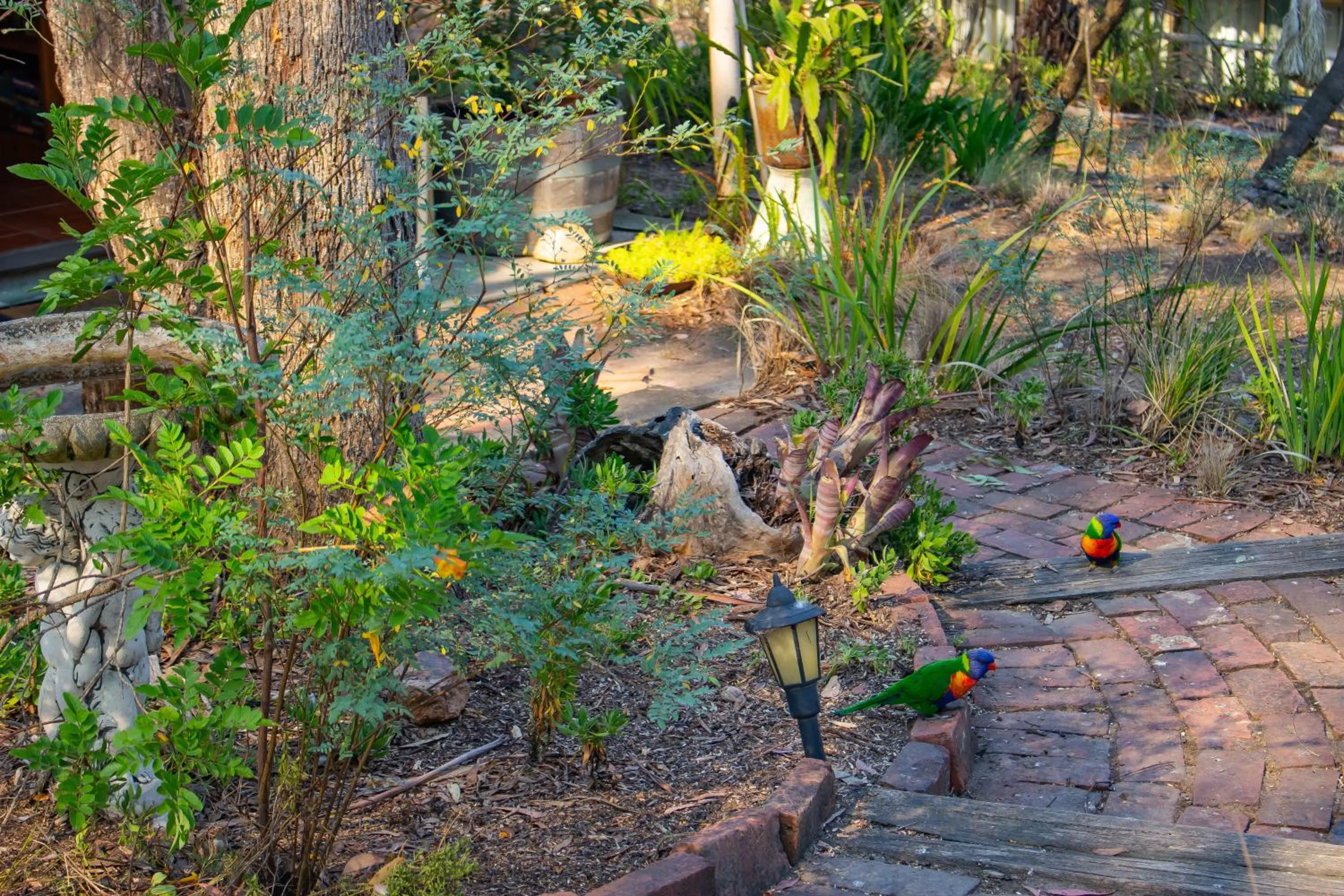 Kalimna Woods Cottages