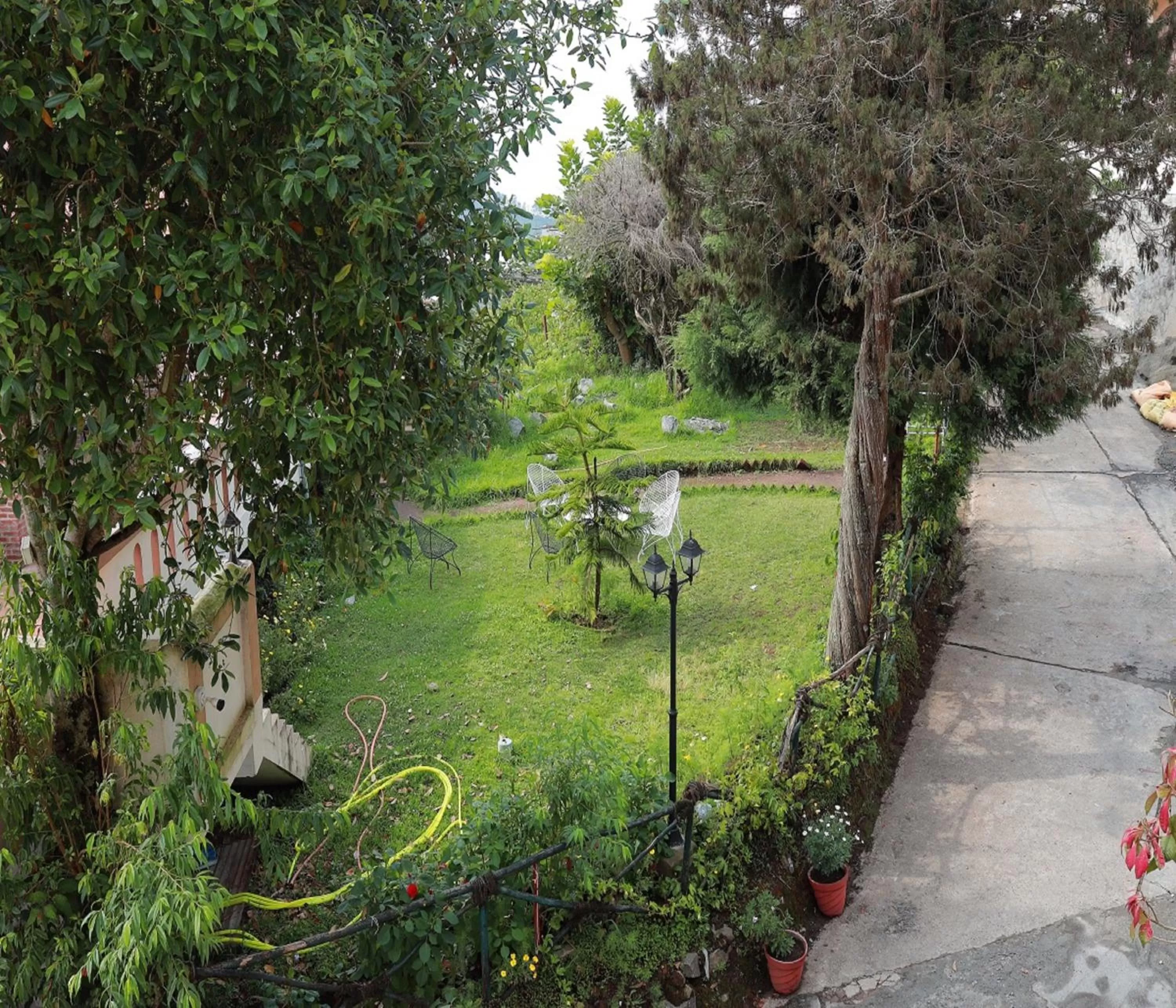 Garden view in Mango Hill Kodai