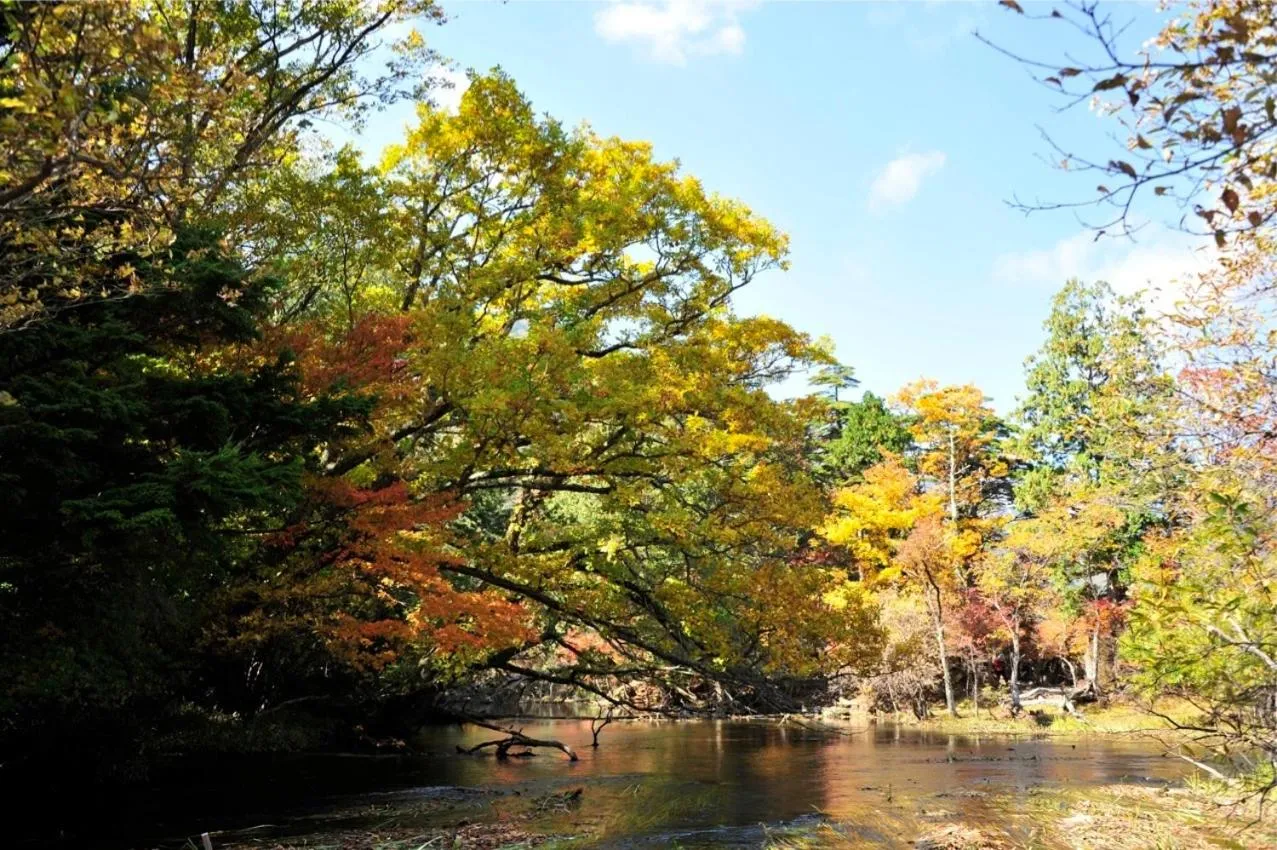 Area and facilities in Yumoto Itaya