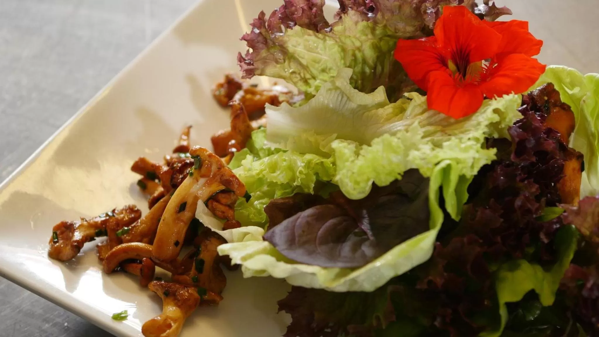 Food and drinks in Hotel & Brauerei-Gasthof Neuwirt