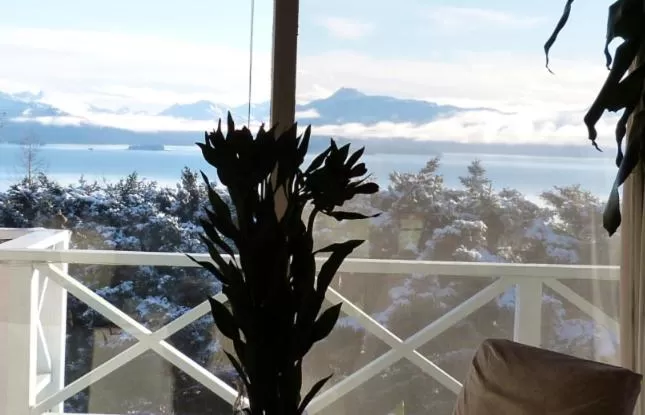 Mountain view, Sea View in Halcyon Heights B&B/Inn