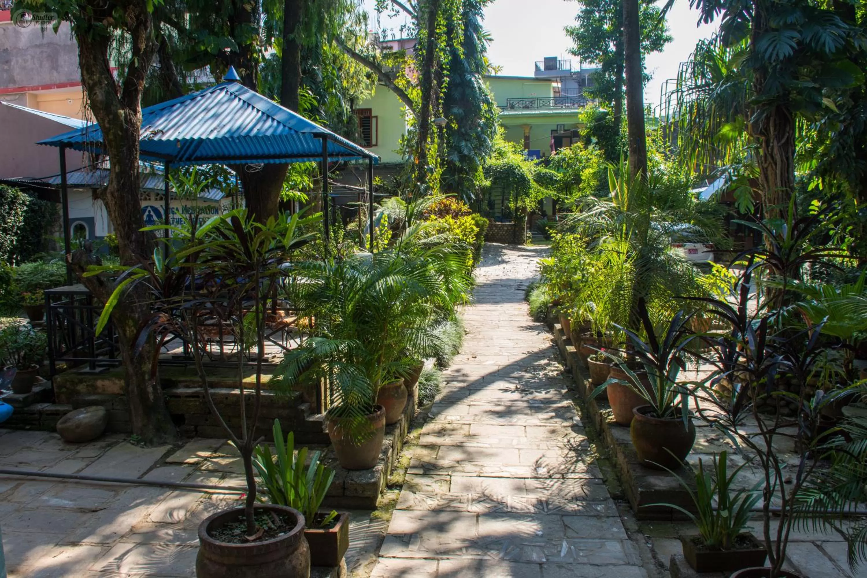 Garden in Yeti Guest House