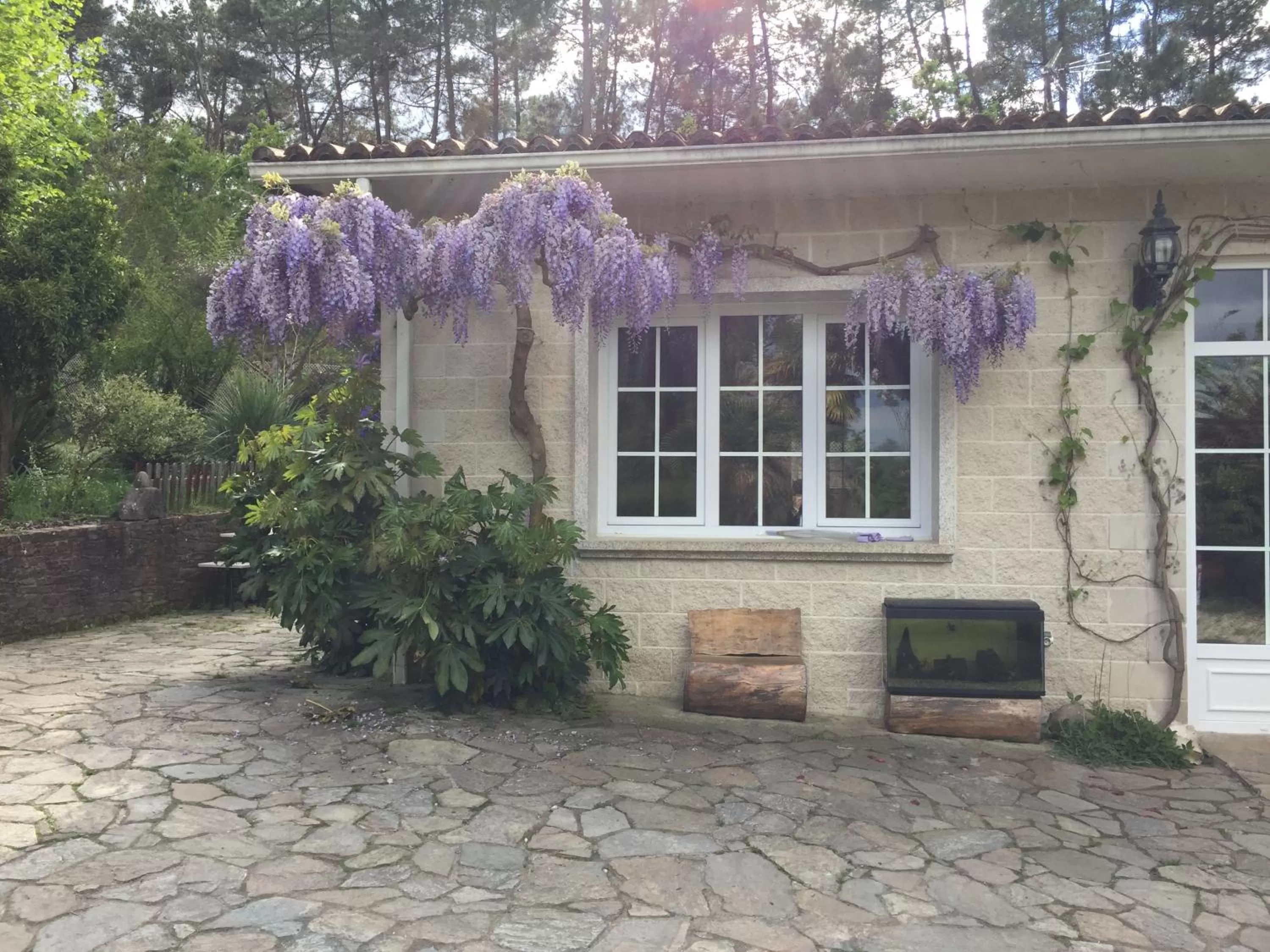 Area and facilities in Agro da Gandarela