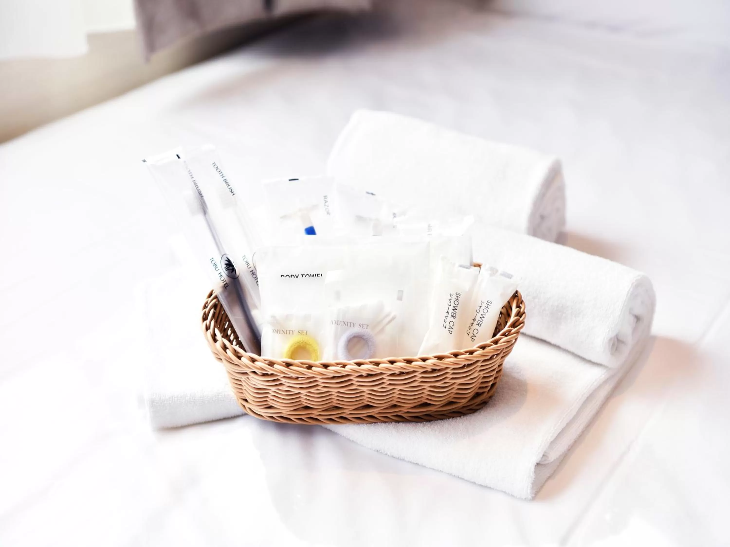 Area and facilities in Kawagoe Tobu Hotel