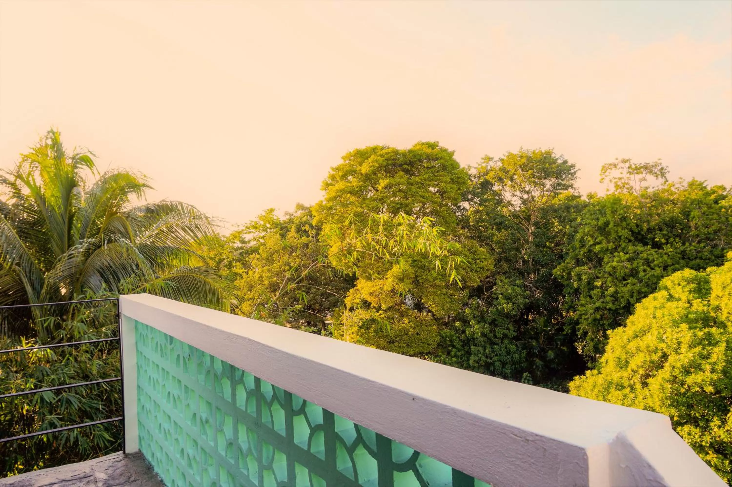 Natural landscape in Les Suites Calle 2 by Galian