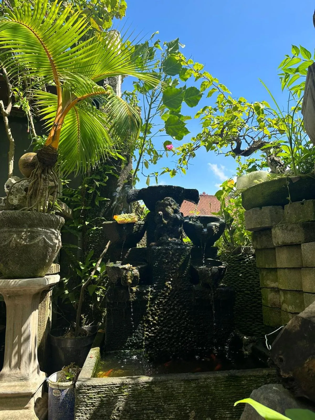 Sari Buana Bed & Breakfast