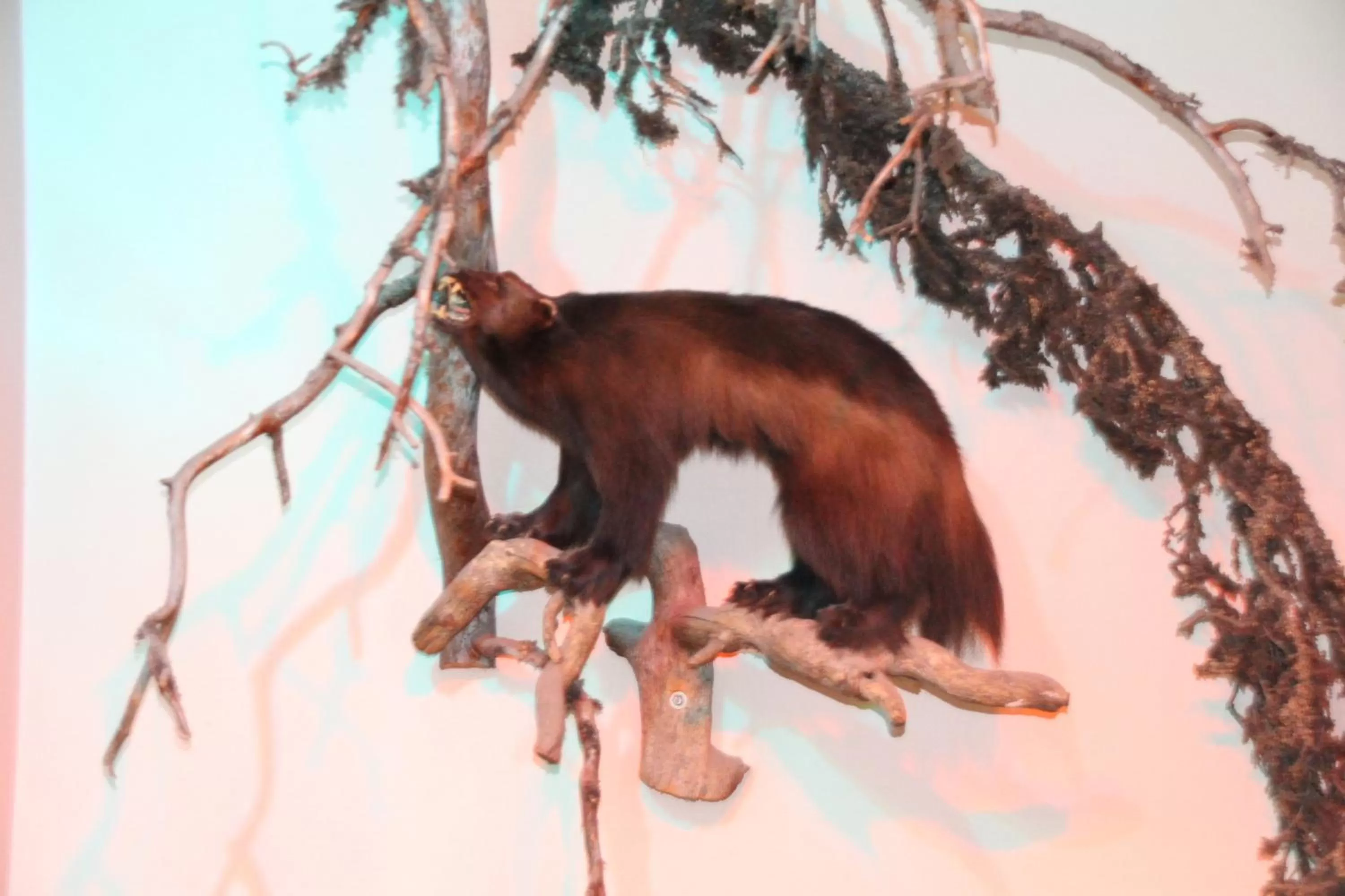 Decorative detail in Hotel Kemijärvi