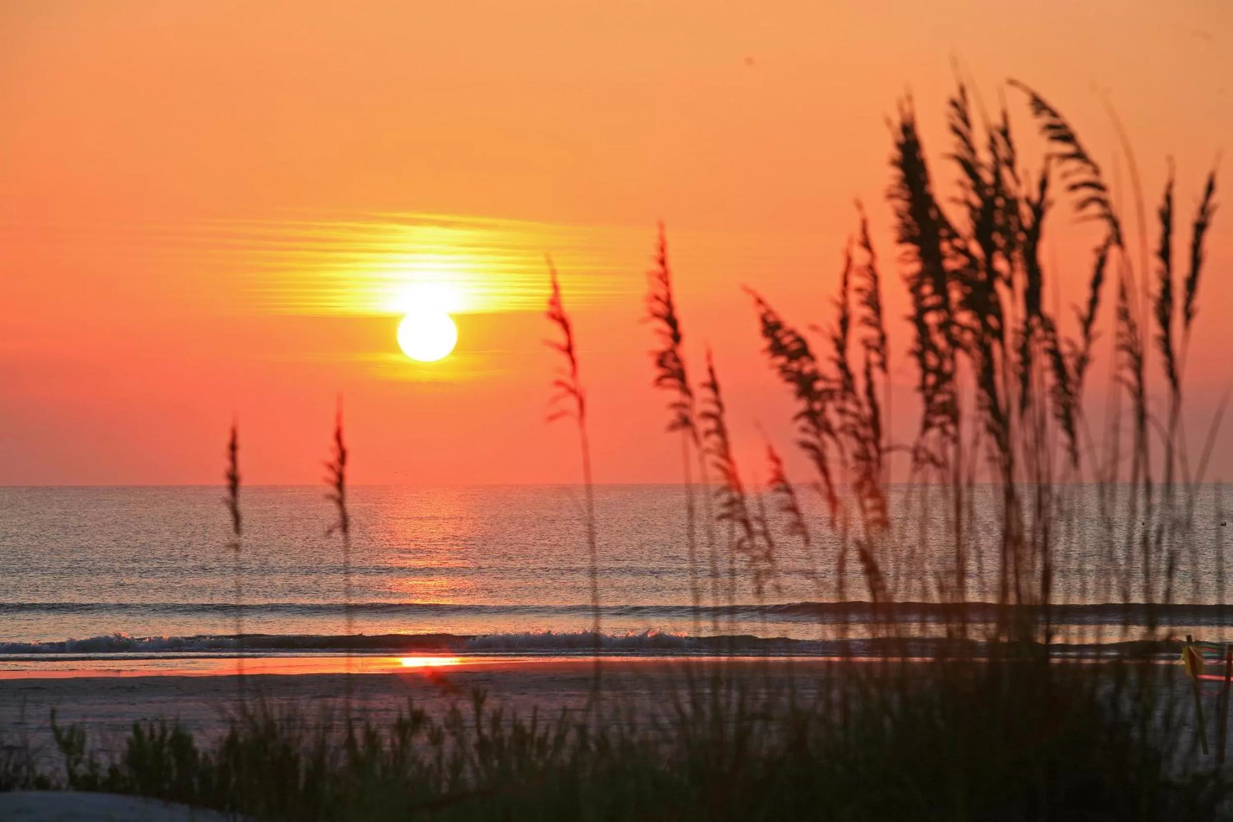 Beach in Guy Harvey Resort on Saint Augustine Beach