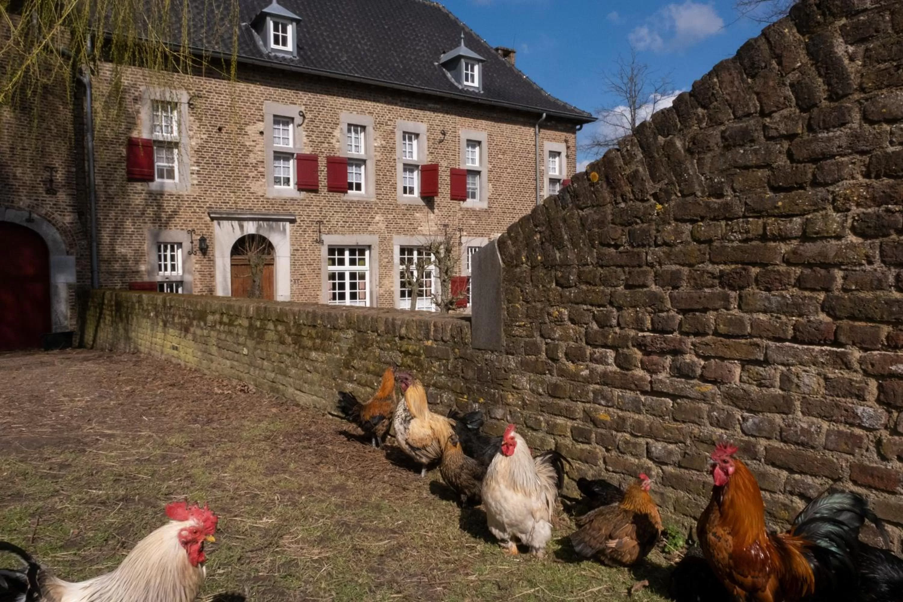 Other Animals in Meschermolen, overnachten in de schuur