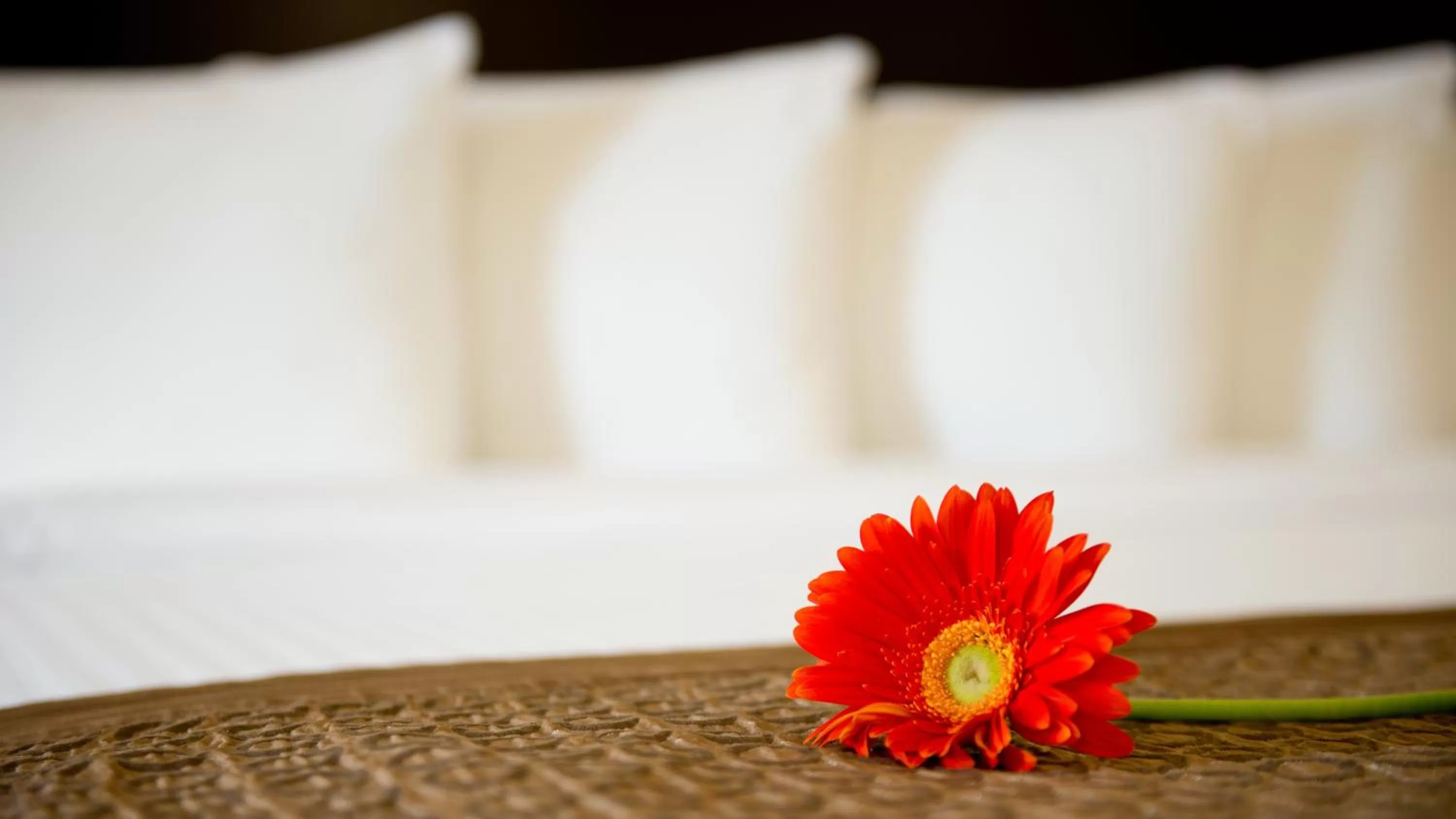 Bedroom, Bed in Park Inn by Radisson Toronto-Markham