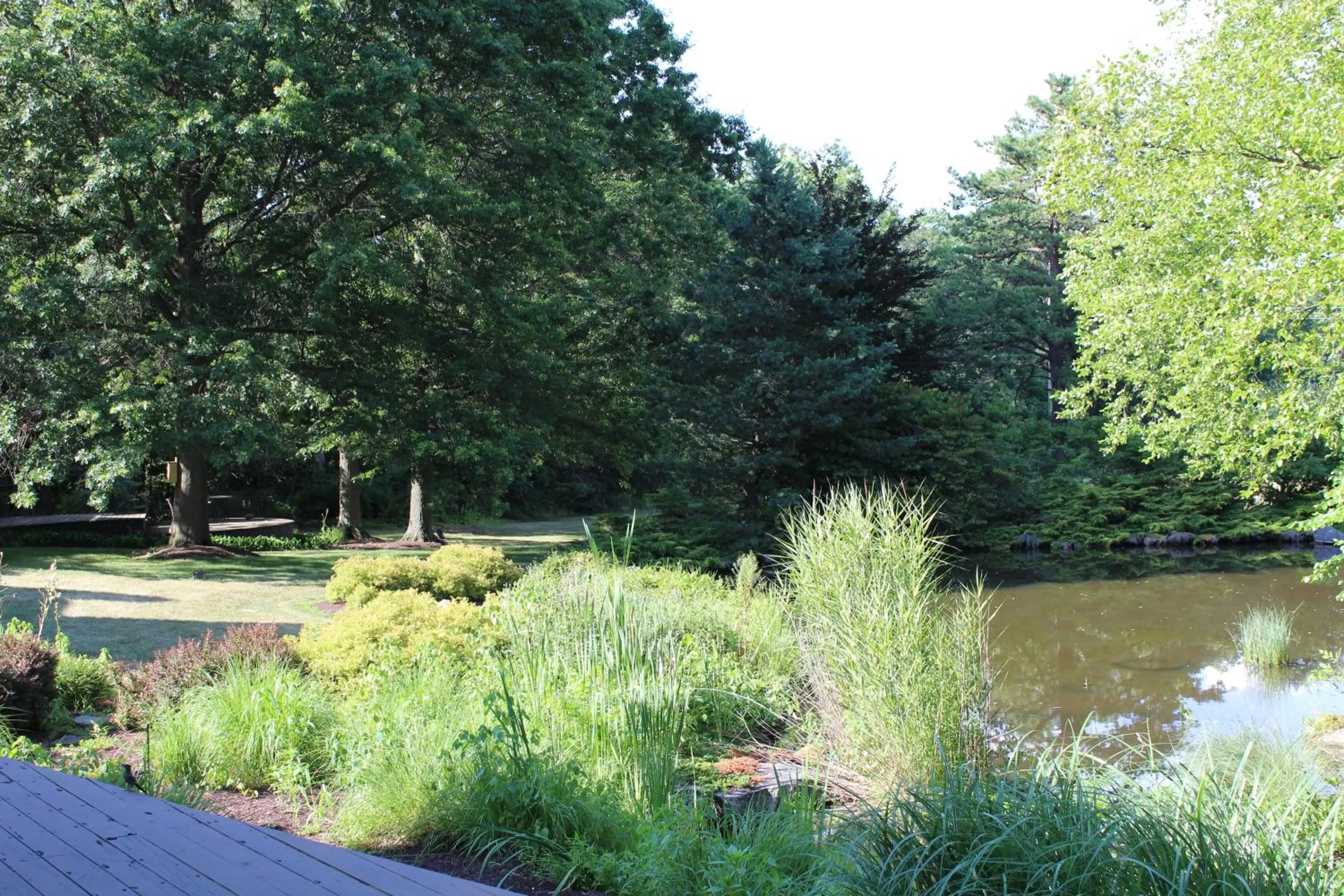 Garden in The Inn at White Oak