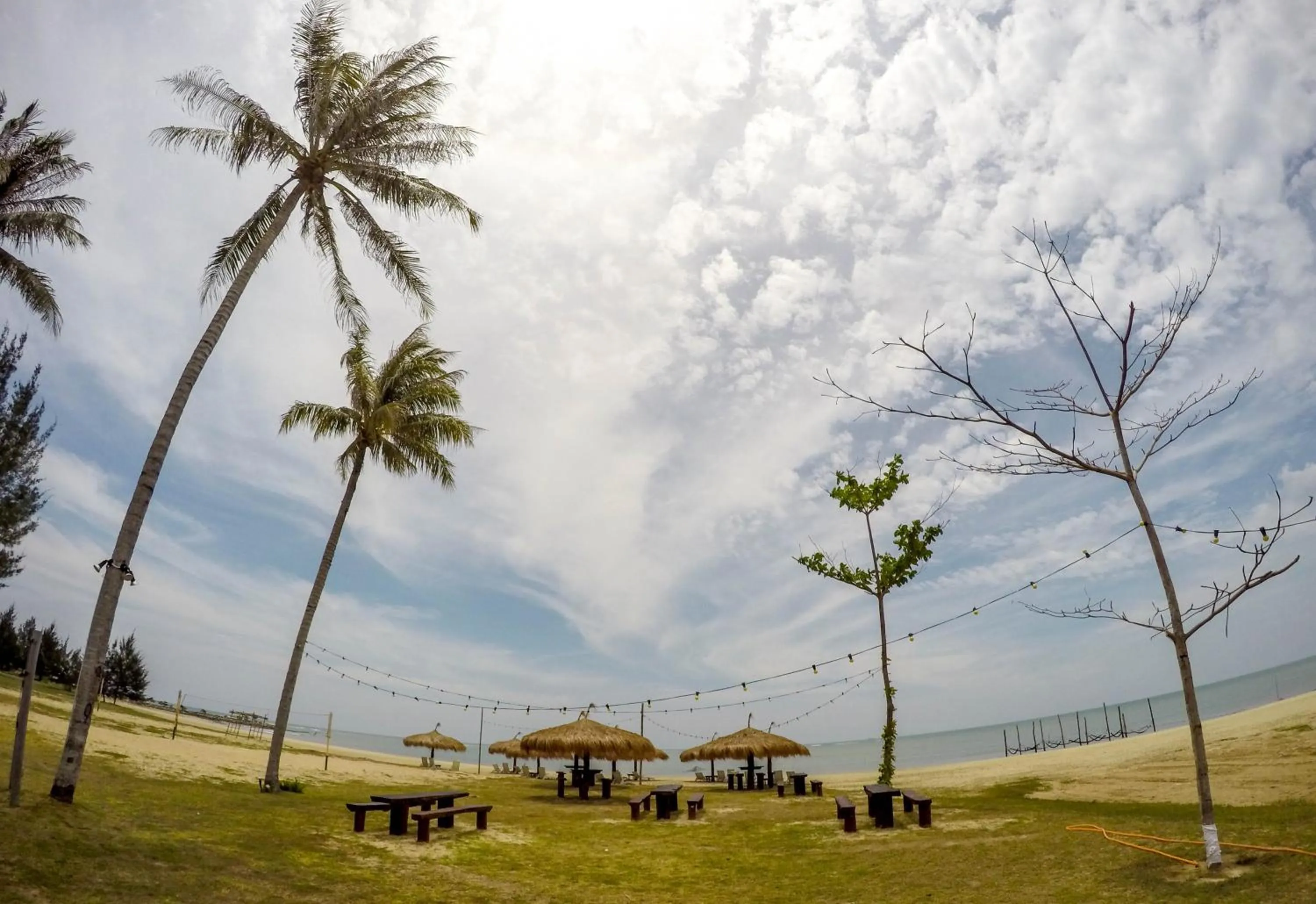 Lounge or bar in Palm Beach Resort & SPA