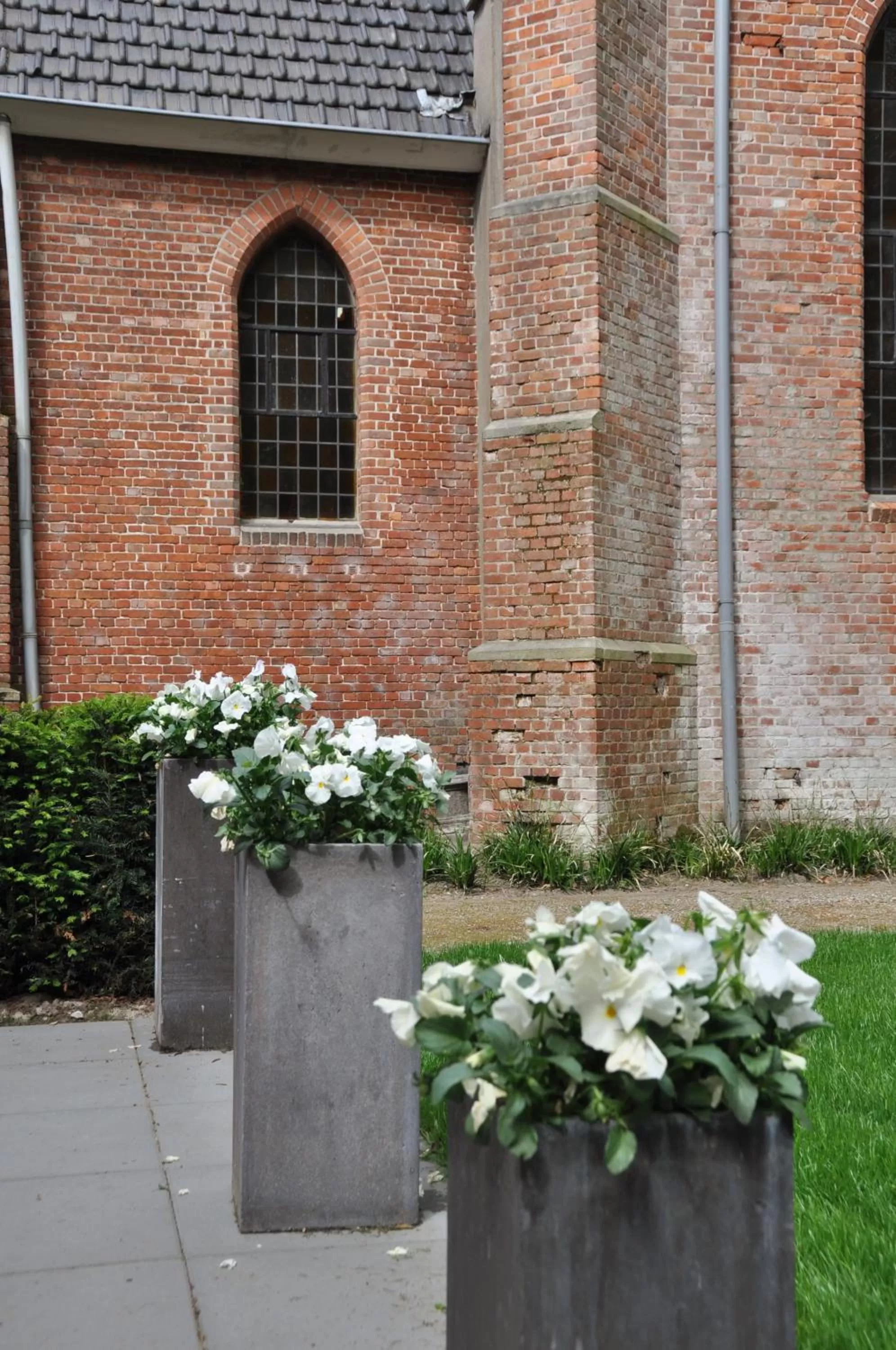 Garden in Klooster Nieuwkerk Goirle