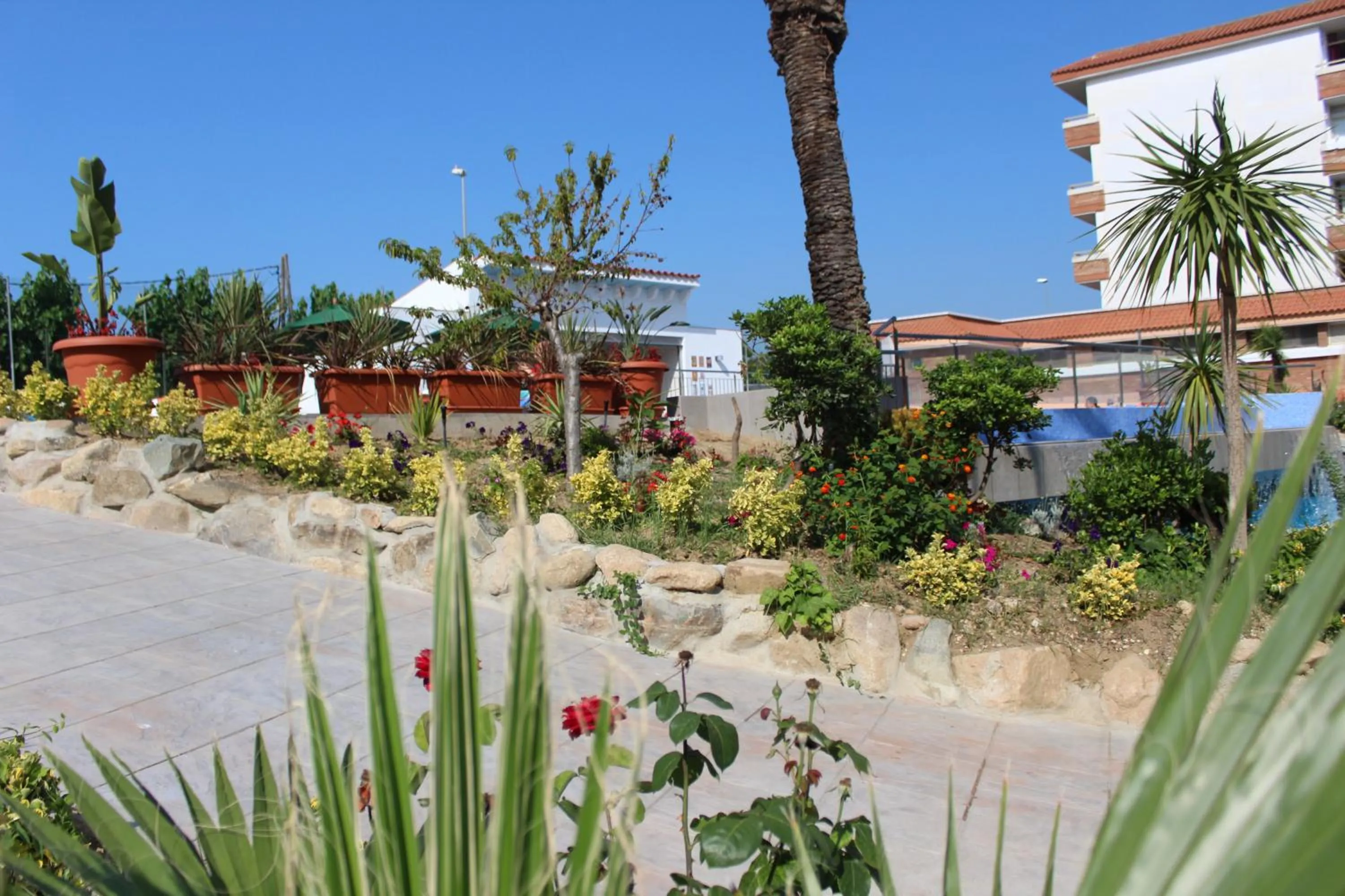 Garden in Hotel Esplendid