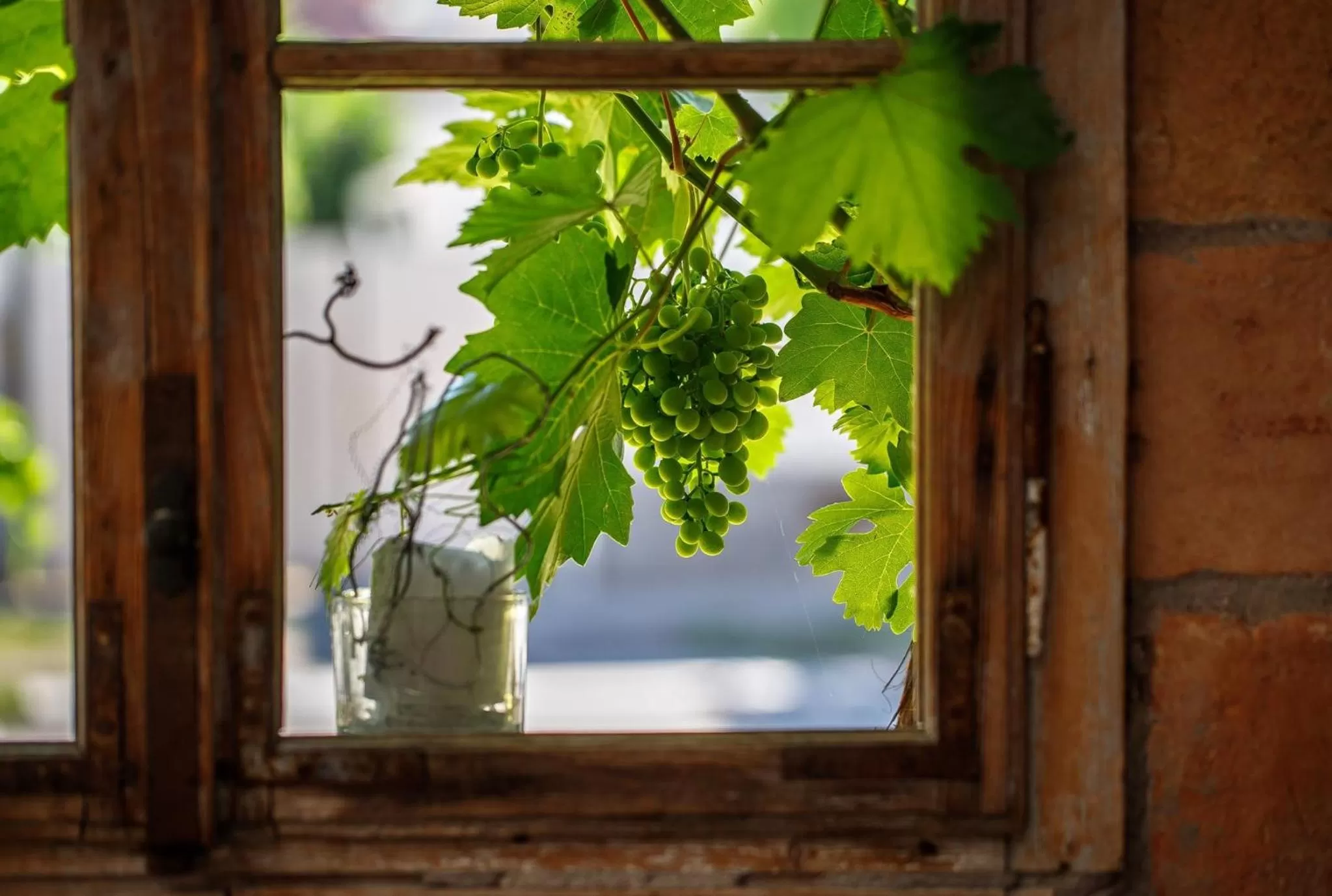 Ráspi Apartman Étterem és Borászat