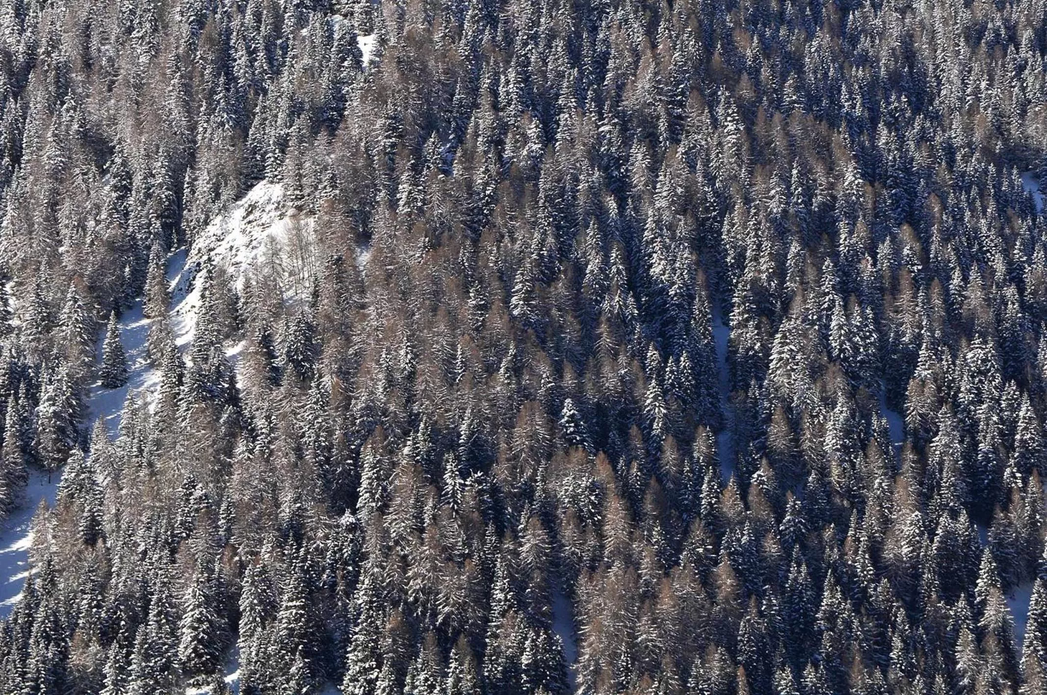 Natural landscape in Albergo Antico