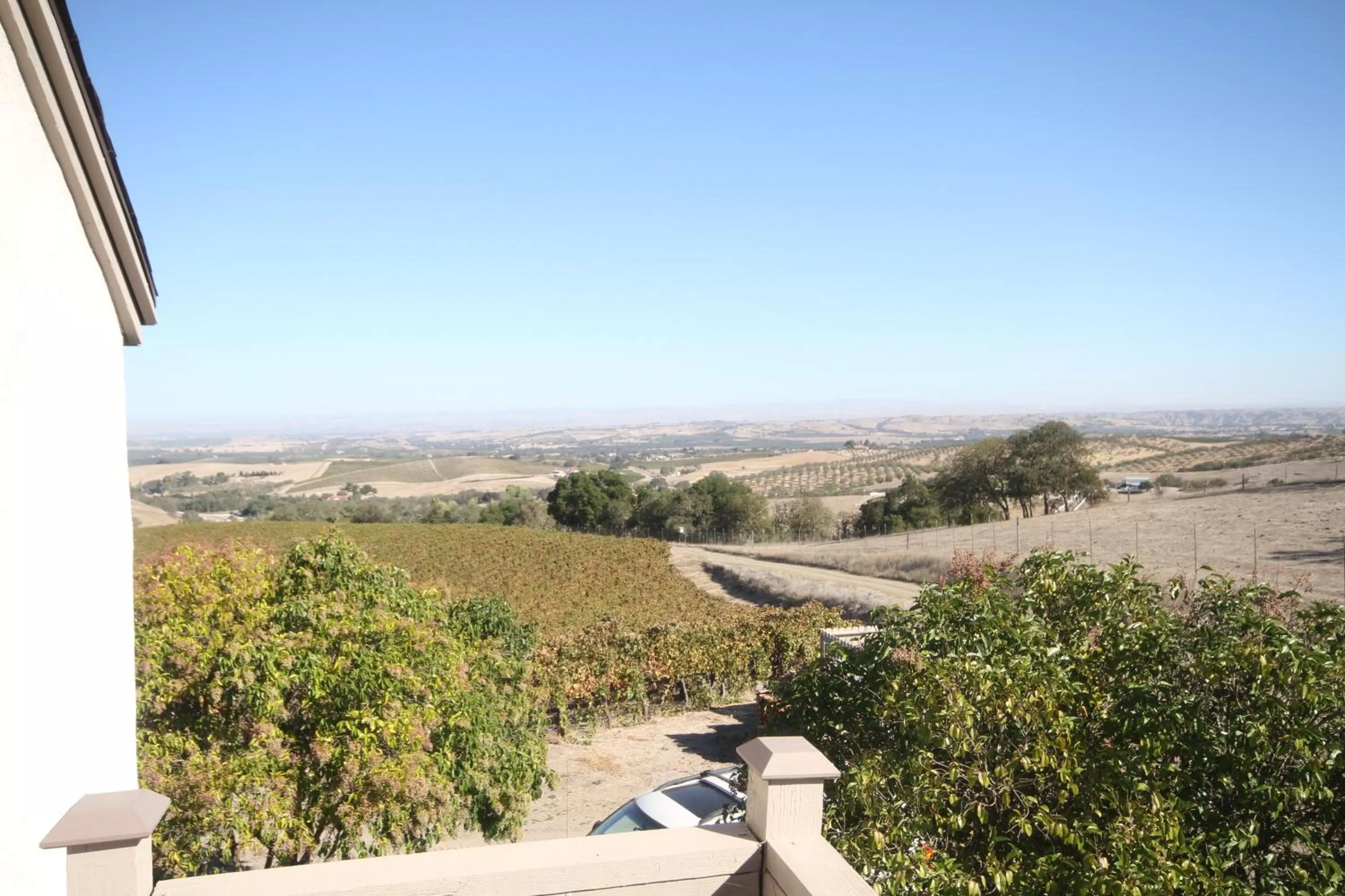 View (from property/room) in The Eden House Vineyard