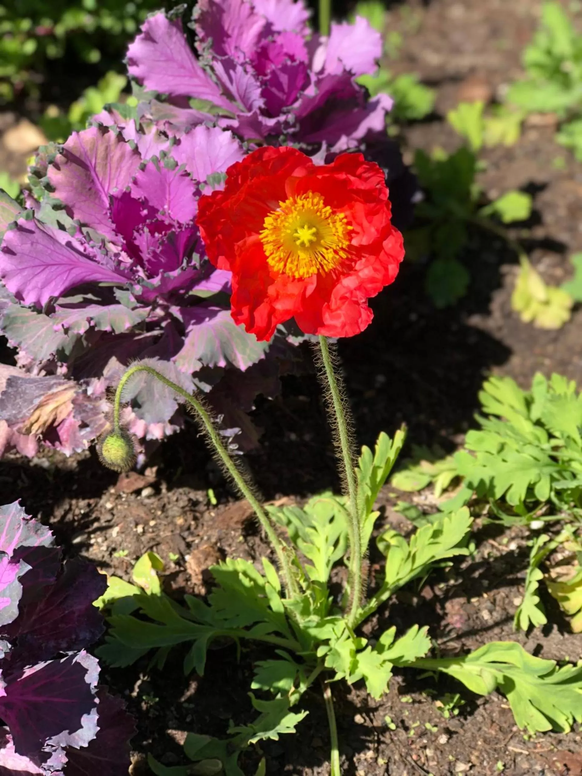 Spring in The Inn at the Tides