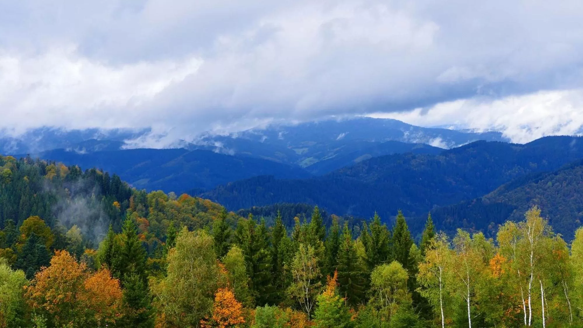 Öko-Landhotel Basler Hof