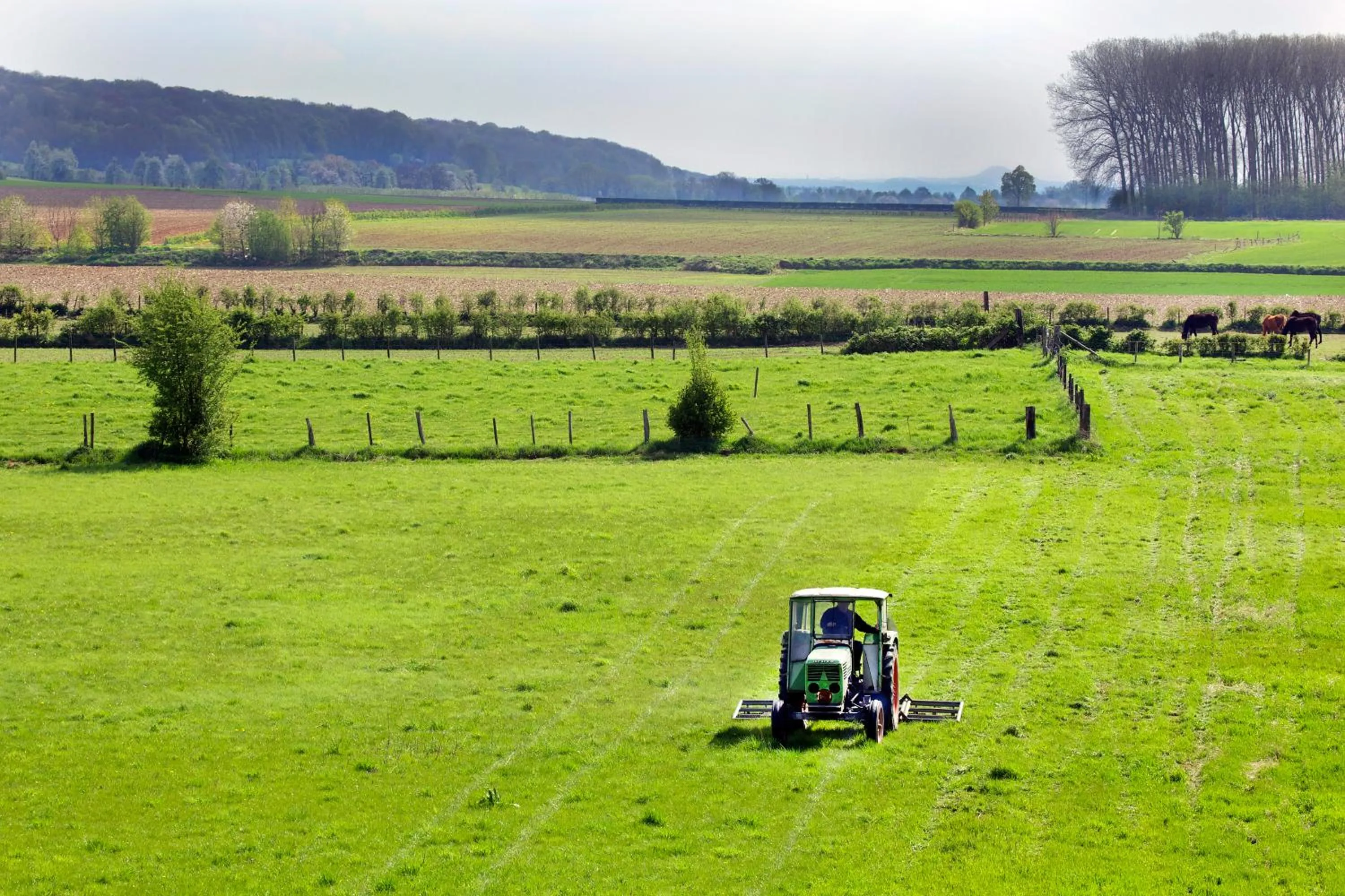 Summer in Hotel Restaurant in den Hoof