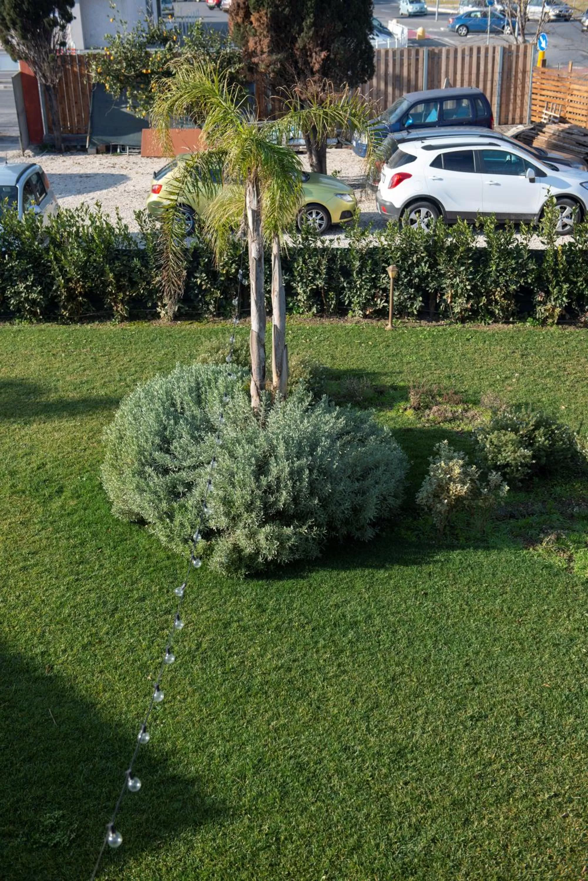 Garden in Domus Porto Di Traiano Resort