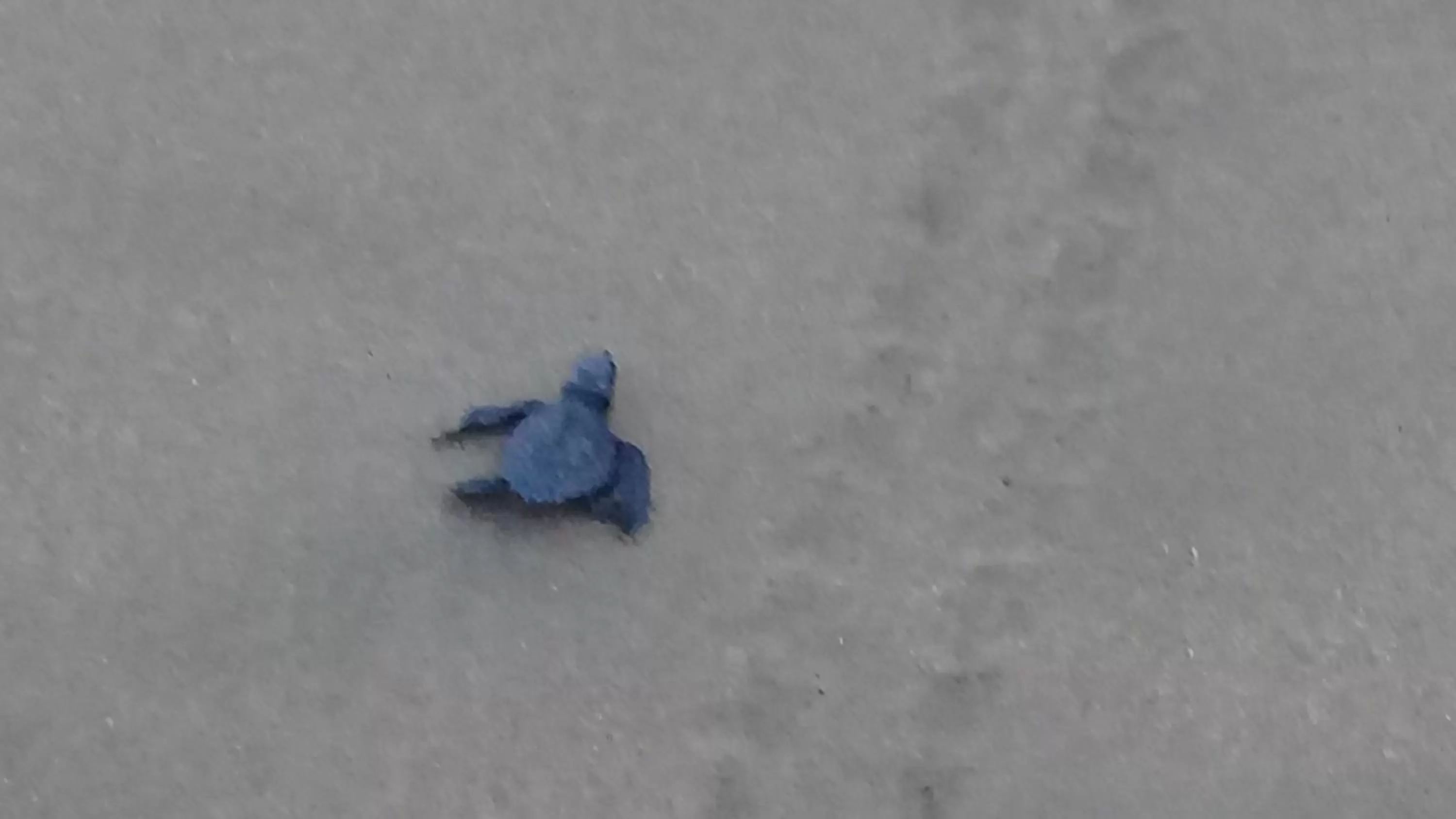 Beach in Hotel Villas Punta Blanca