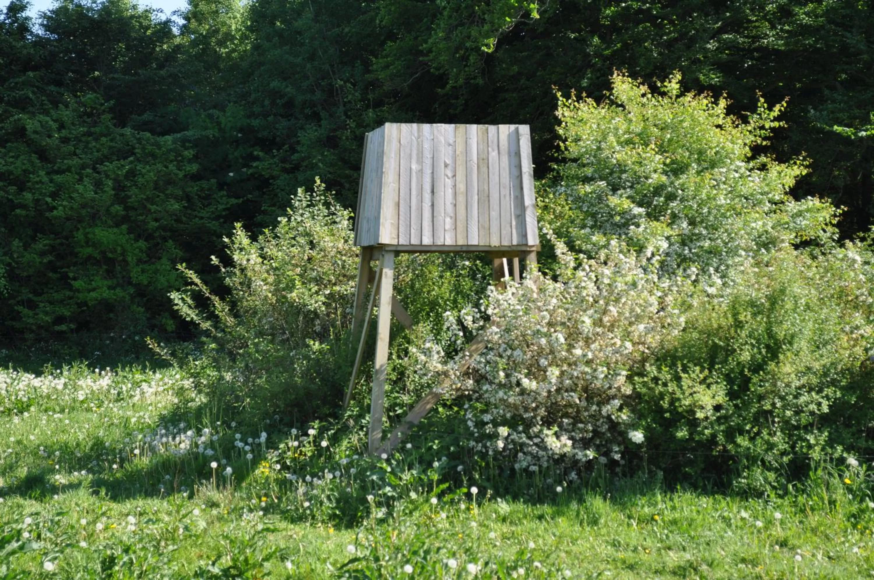 Area and facilities in Koebenhovedskov Bed & Breakfast