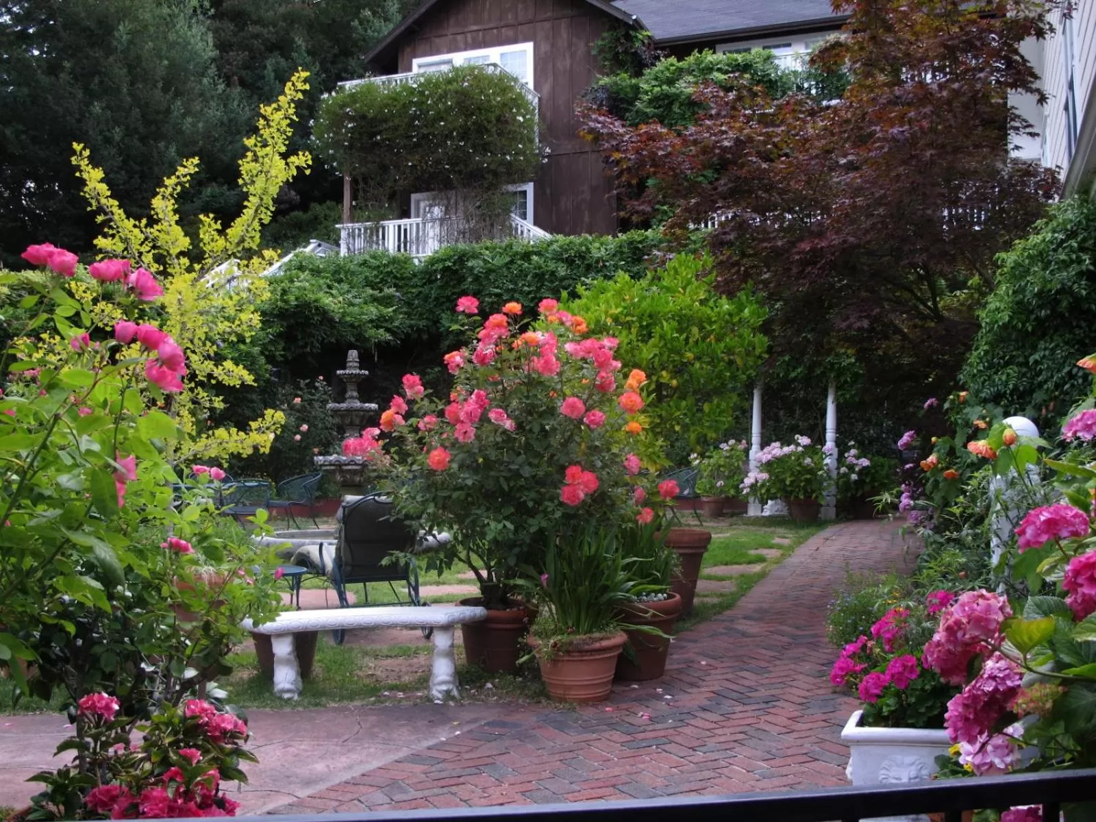 Patio in Inn at Occidental