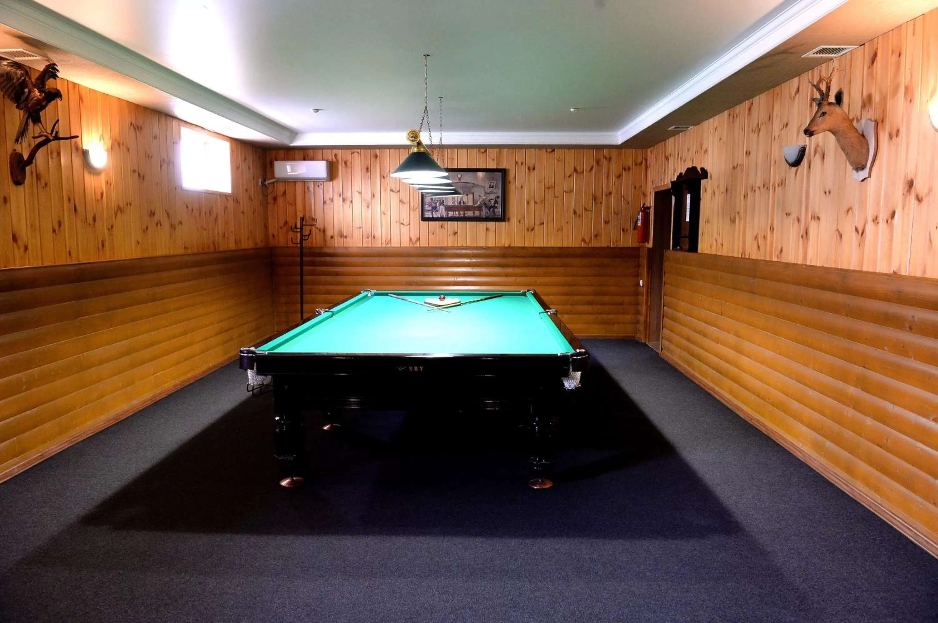 Billiards in Pride Hotel