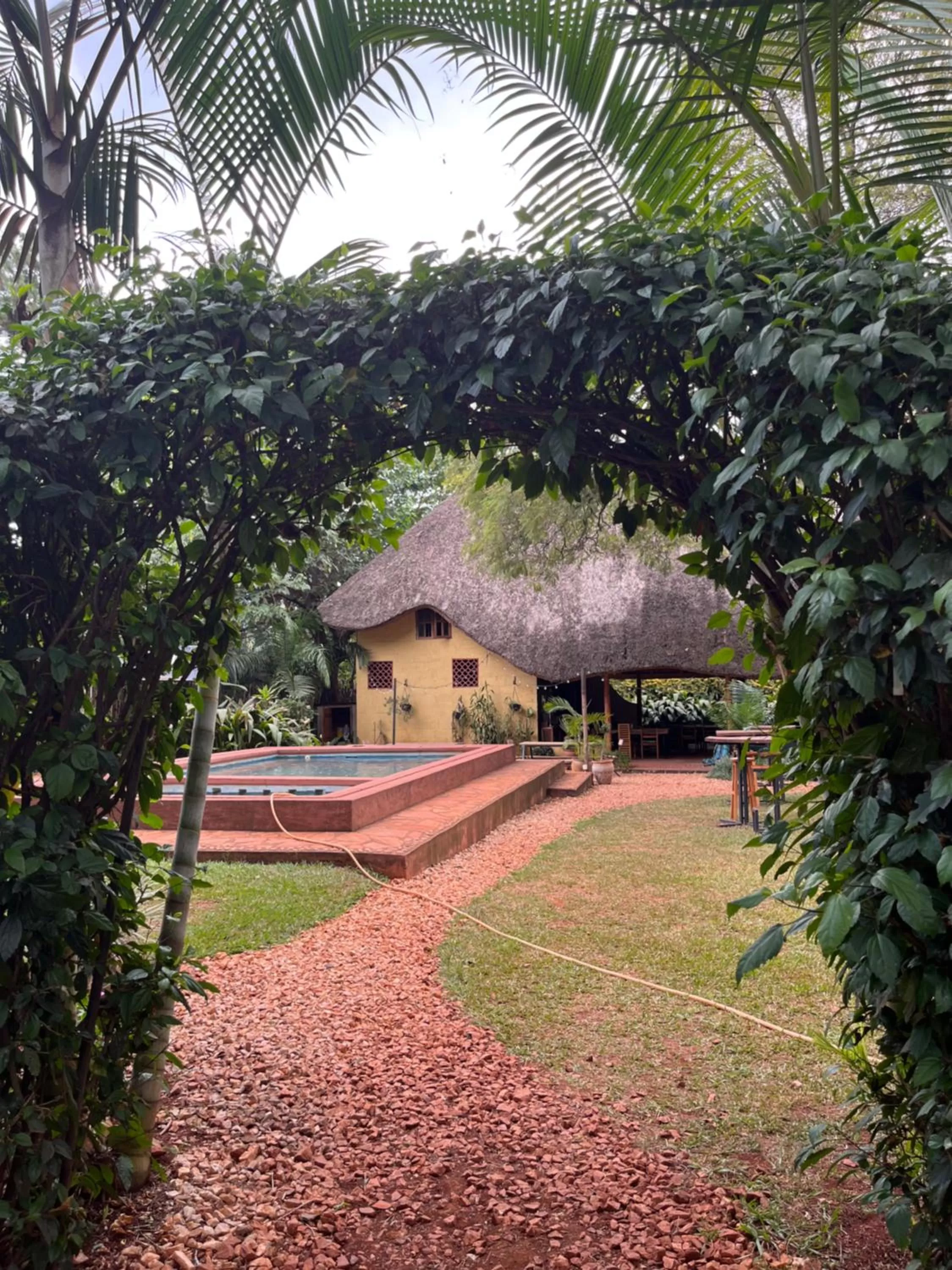 Swimming pool in 30 Wilson