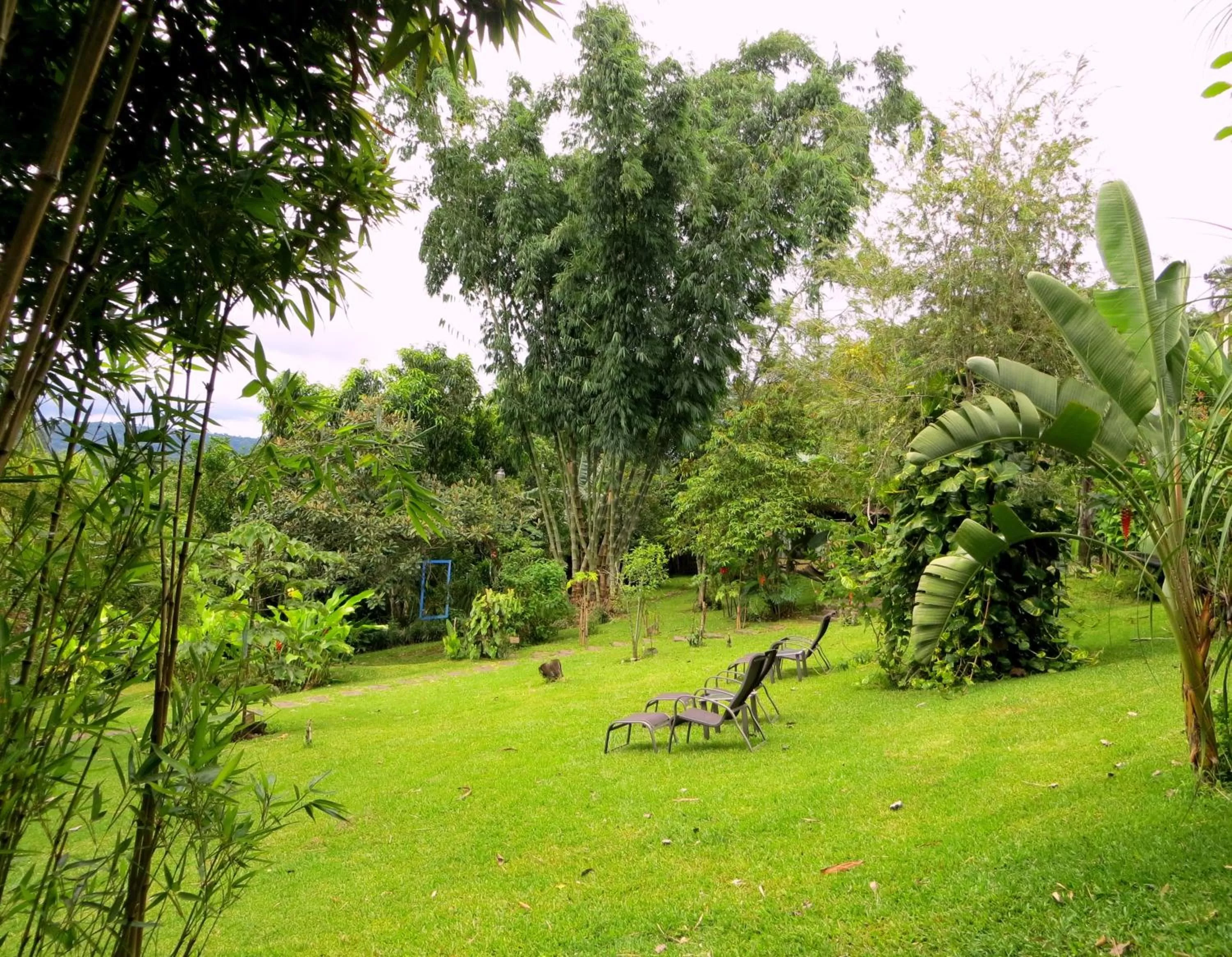 Garden in Pura Vida Hotel