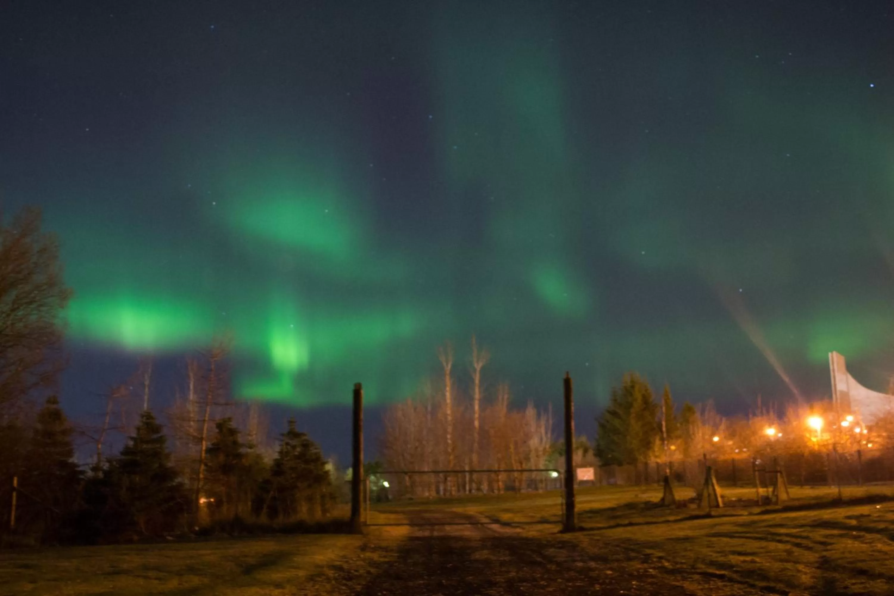 Other in Raven's Bed