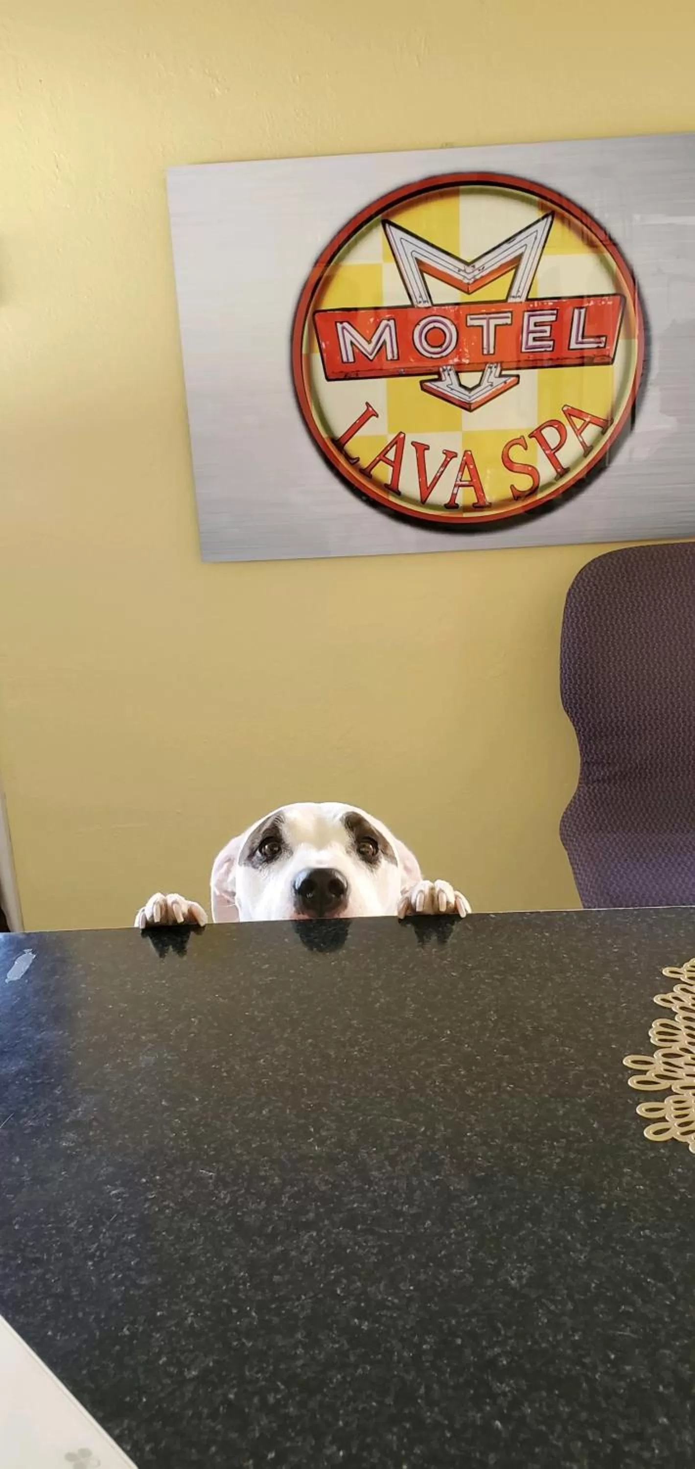 Property logo or sign in Lava Spa Motel & RV