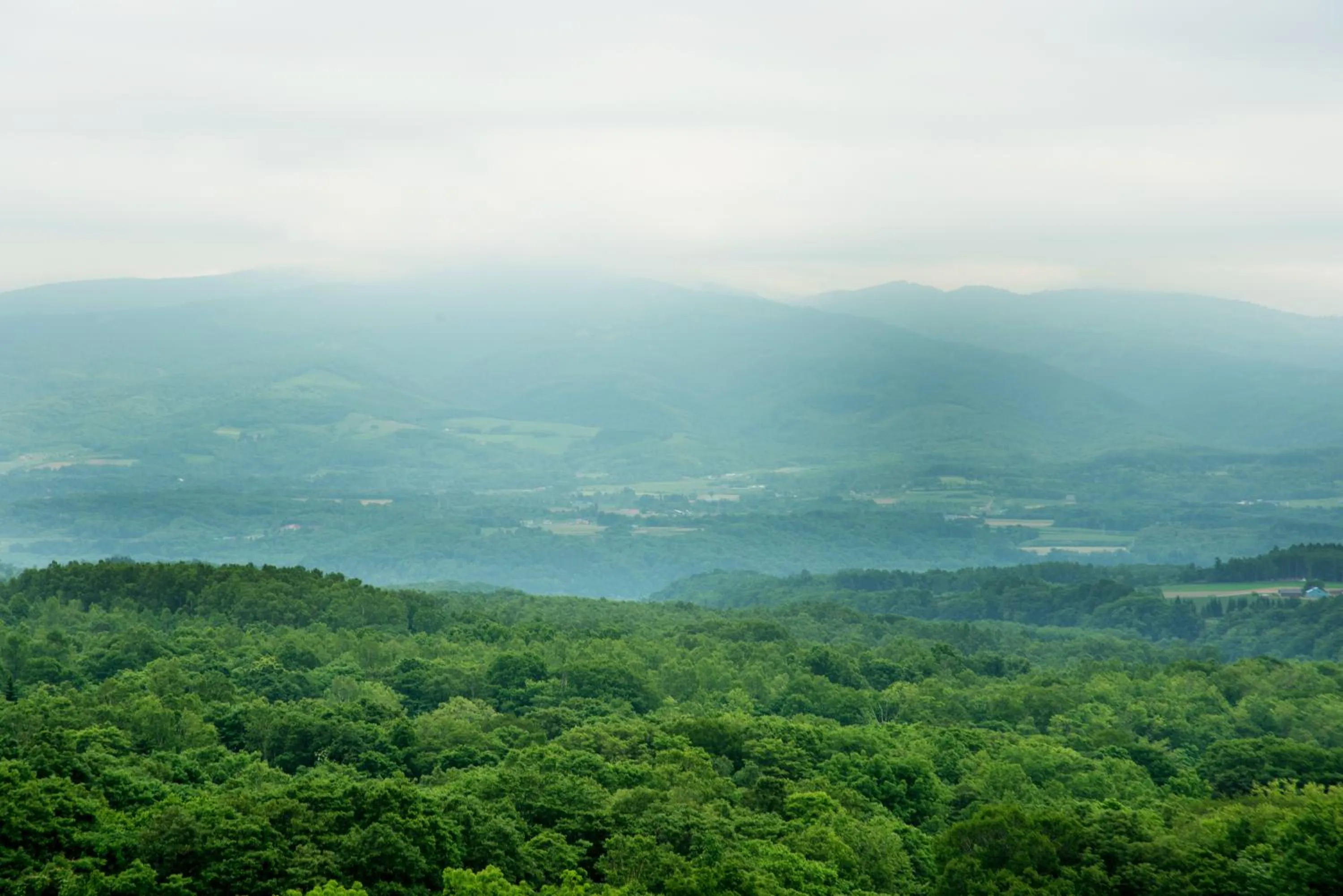 Natural landscape in One Niseko Resort Towers