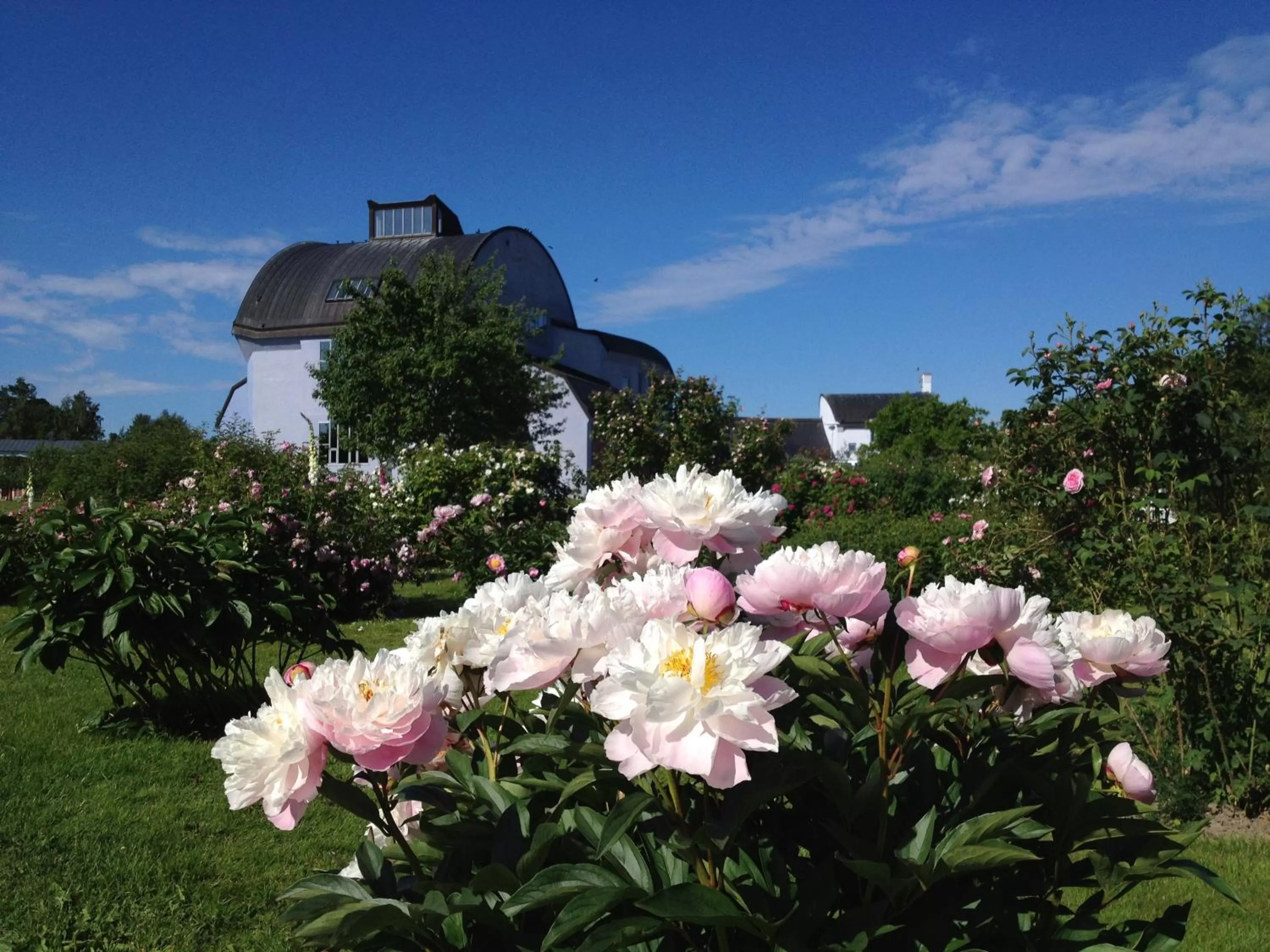 Spring in Ytterjärna Hotell & Konferens