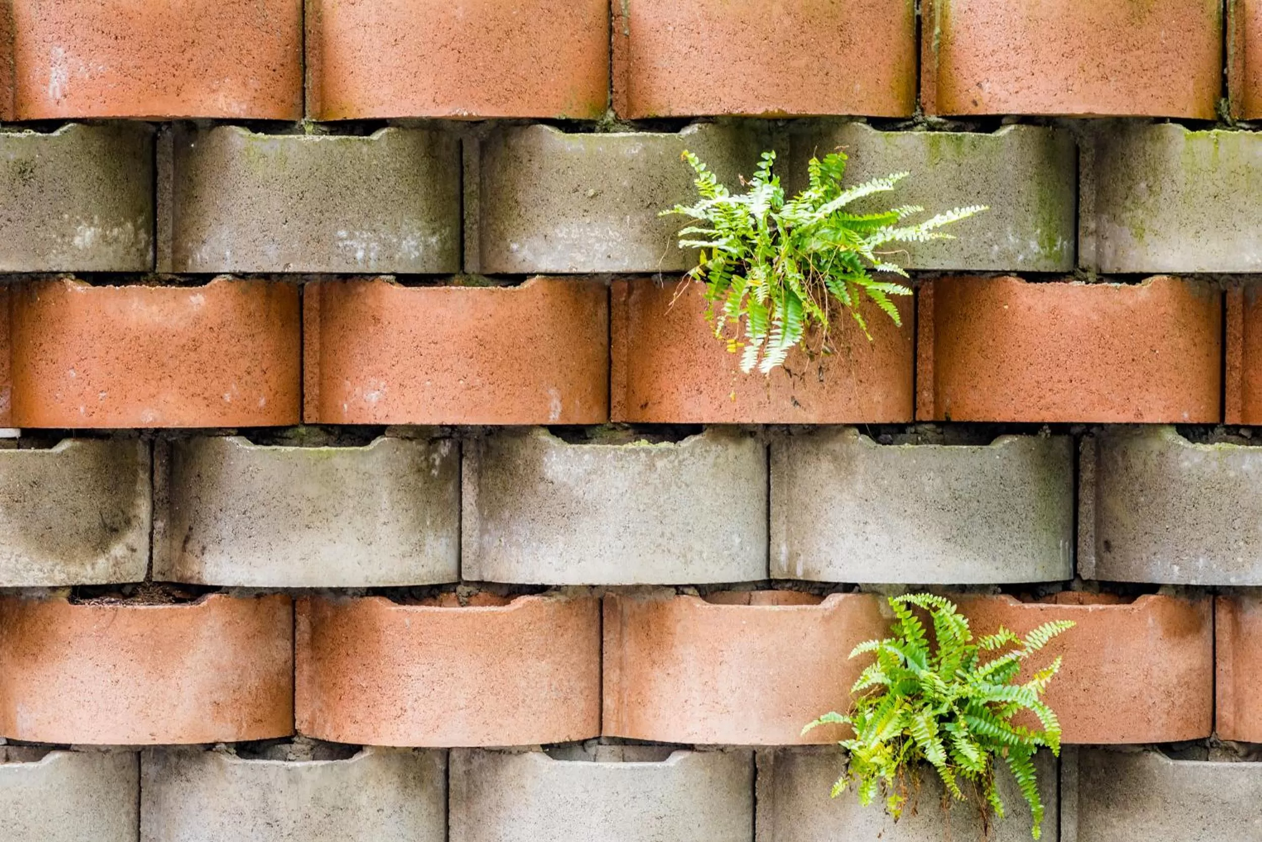 Garden in Lettera Hotel
