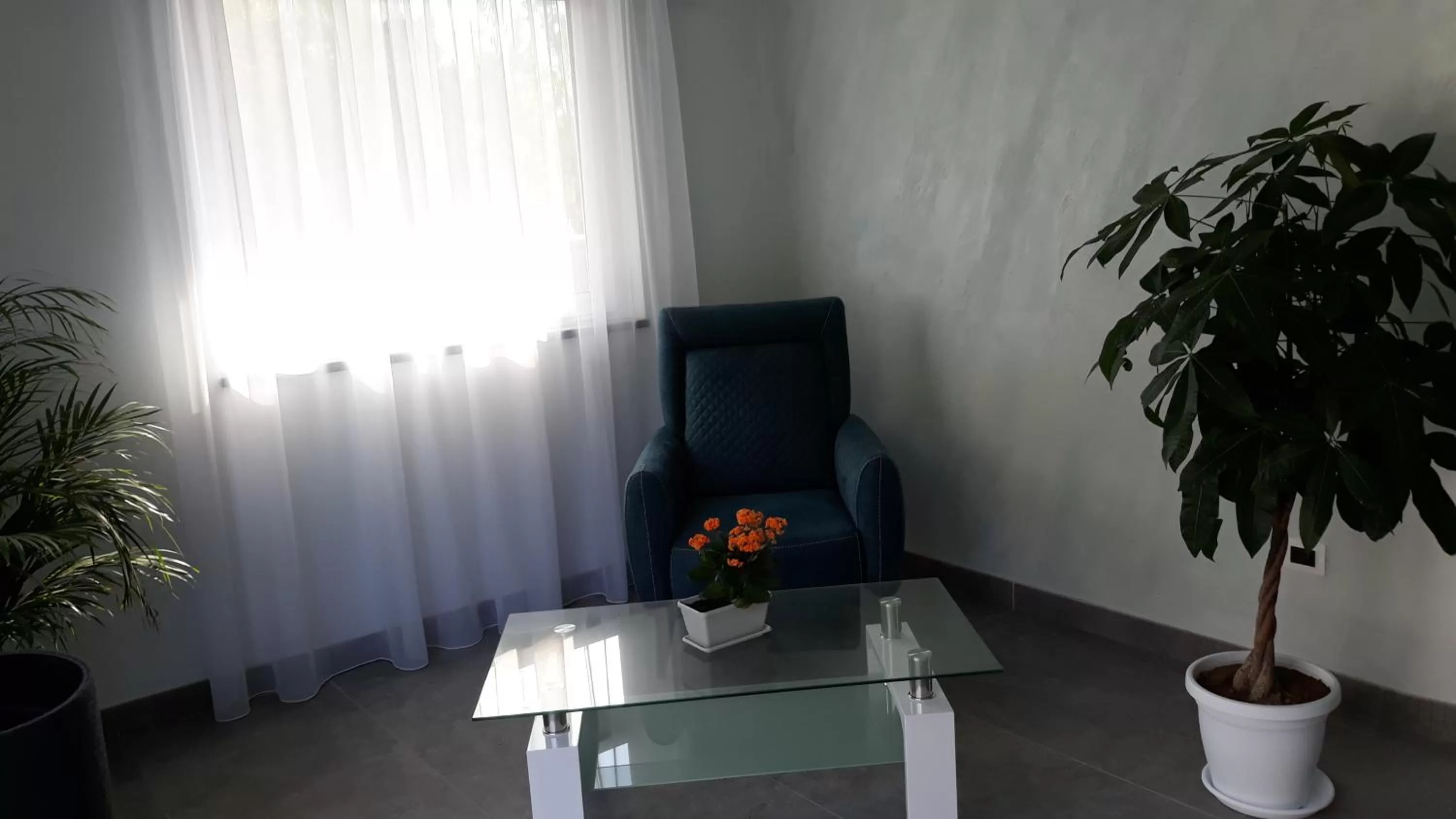 Lobby or reception in Hotel Calypso