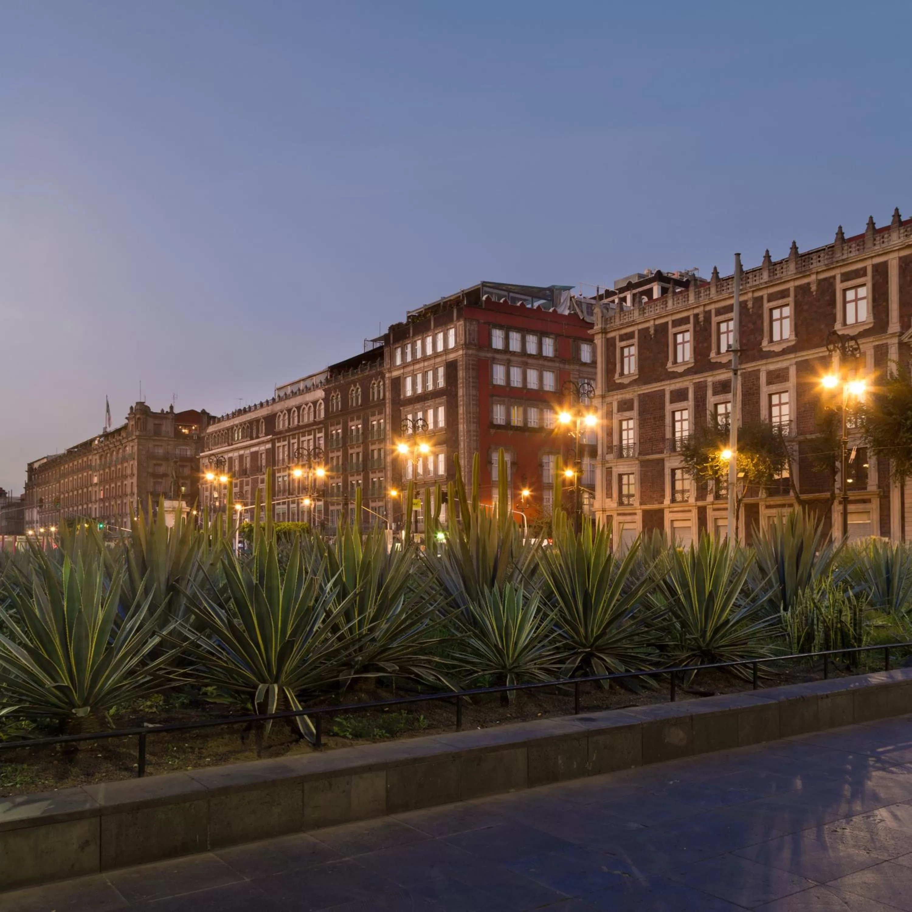 Neighbourhood in Zocalo Central & Rooftop Mexico City