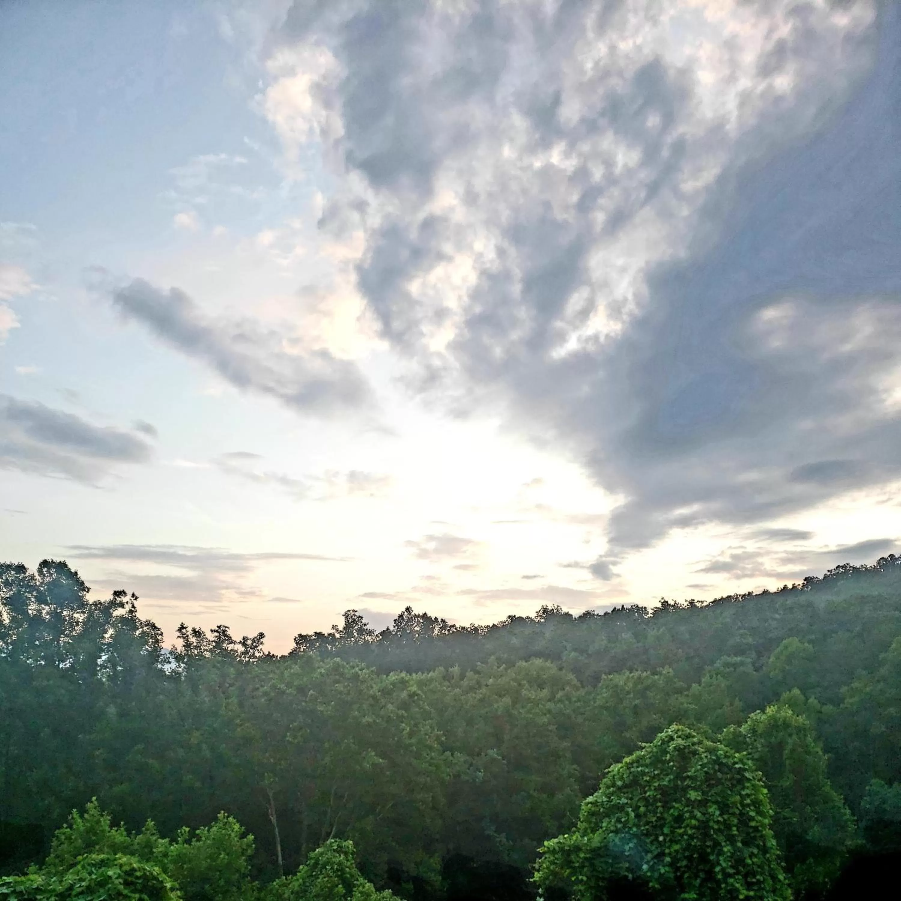 Other in Nantahala Village