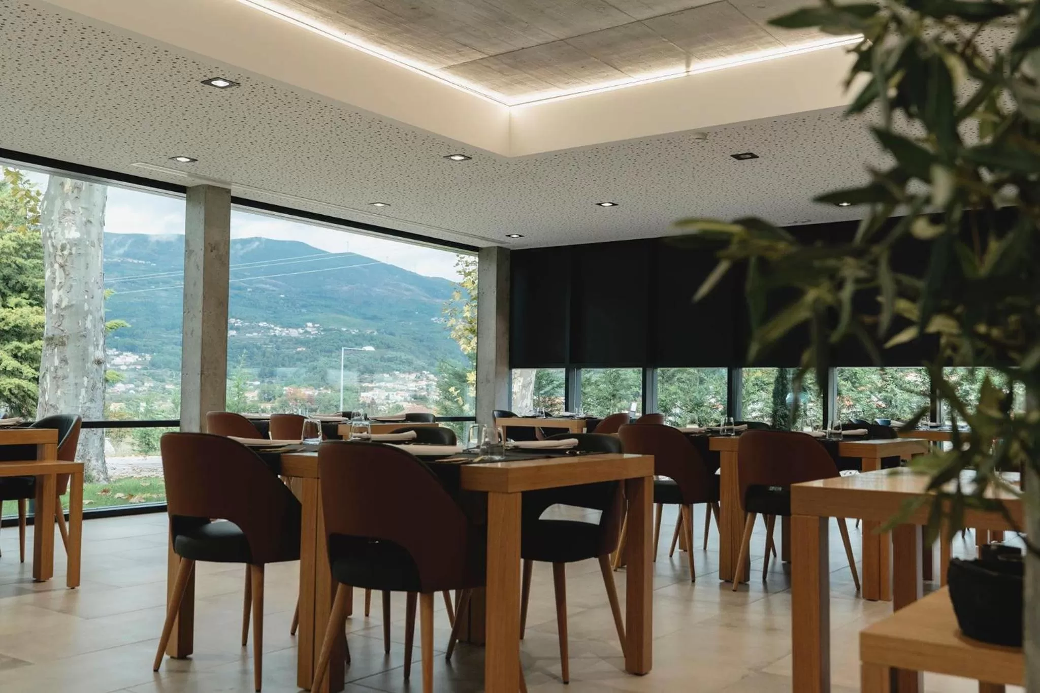 Borralha Hotel, Restaurante & Spa