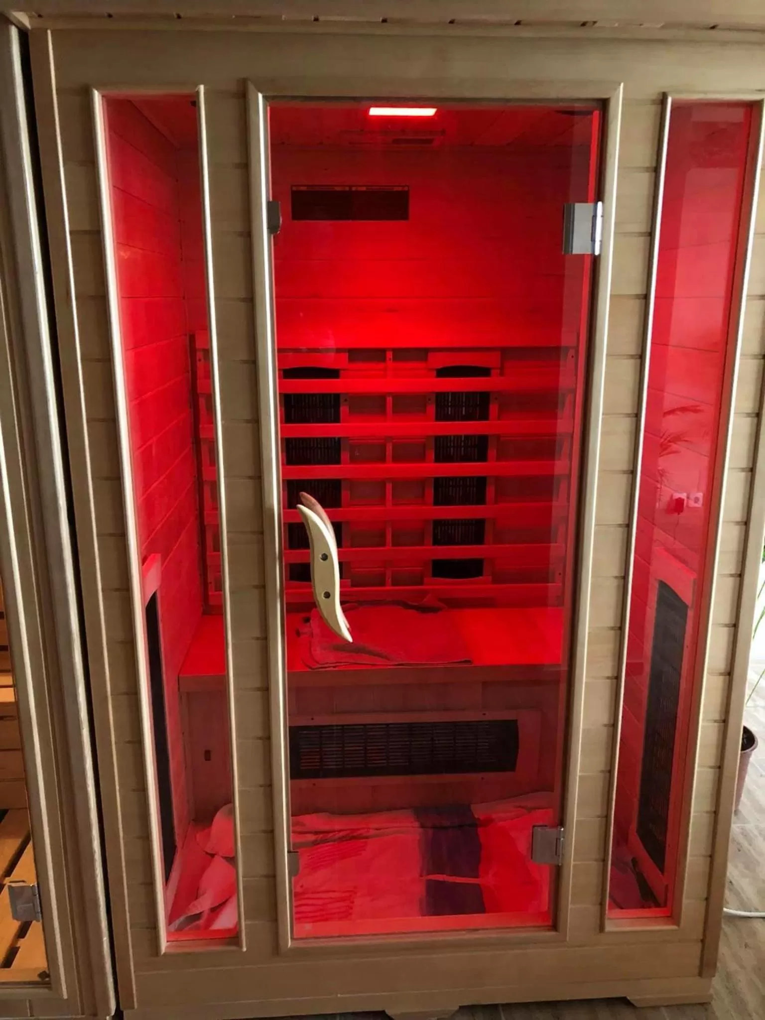 Sauna in Garden House