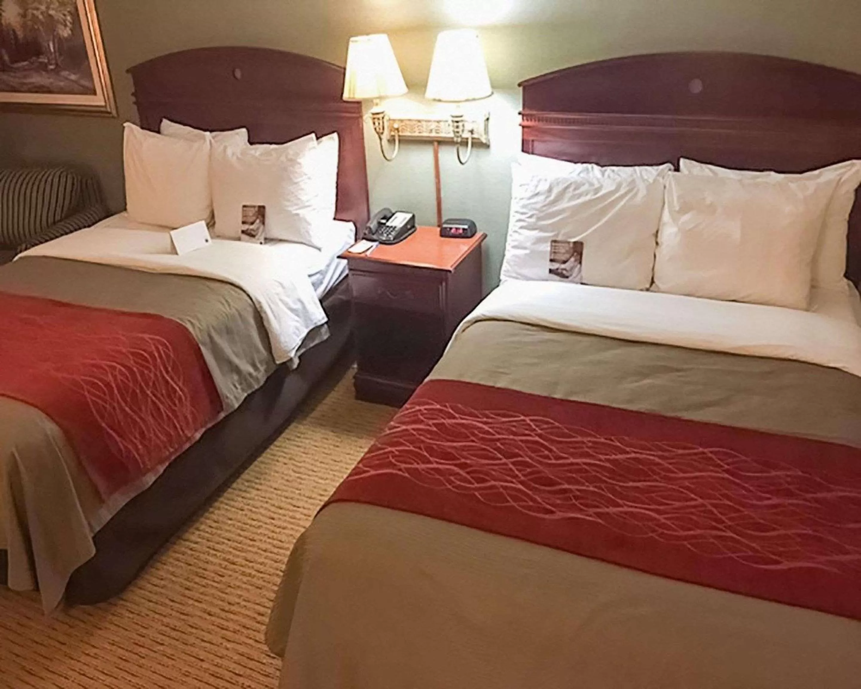 Photo of the whole room, Bed in Comfort Inn