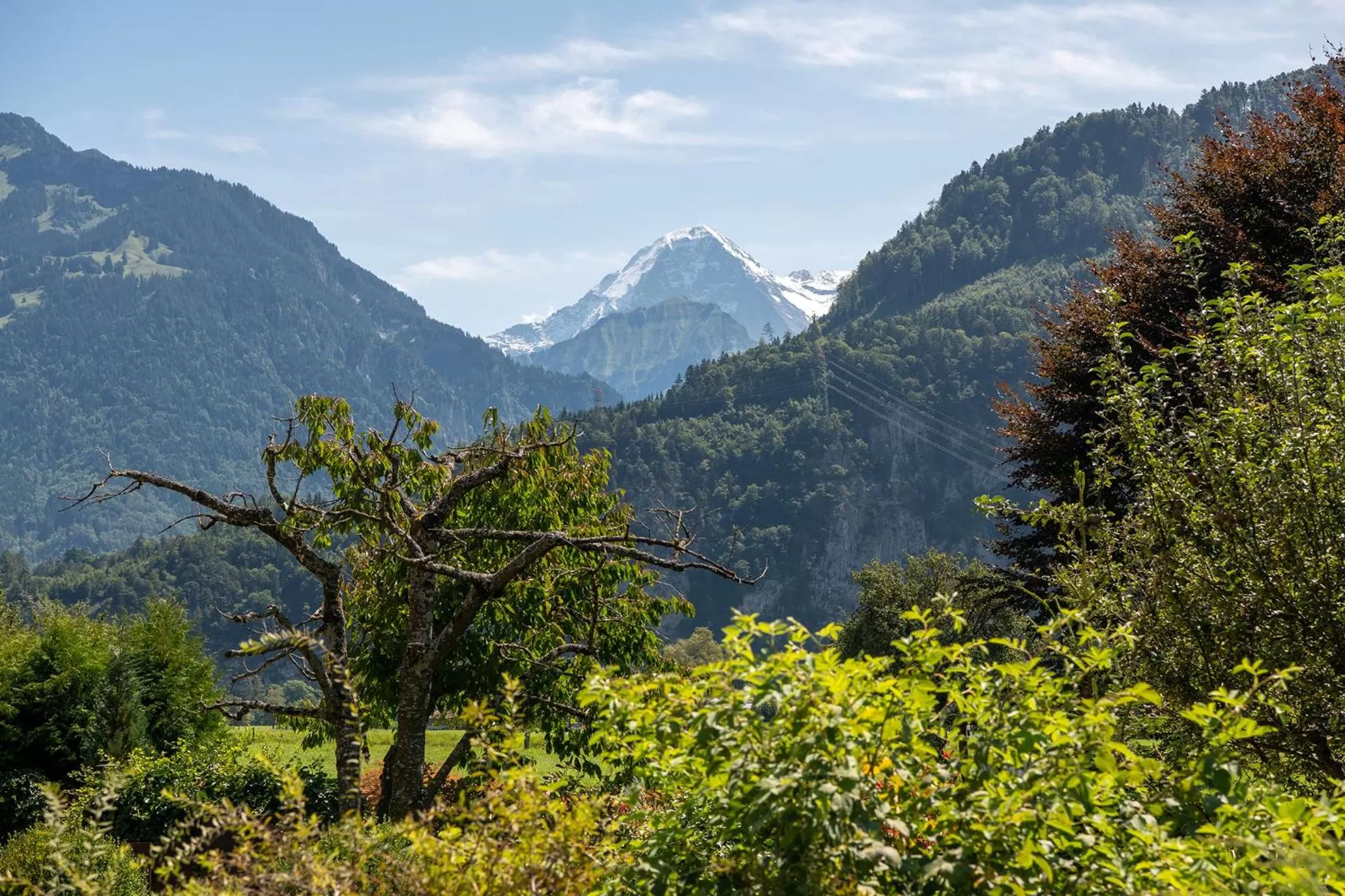 View (from property/room) in Salzano Basic Rooms Interlaken