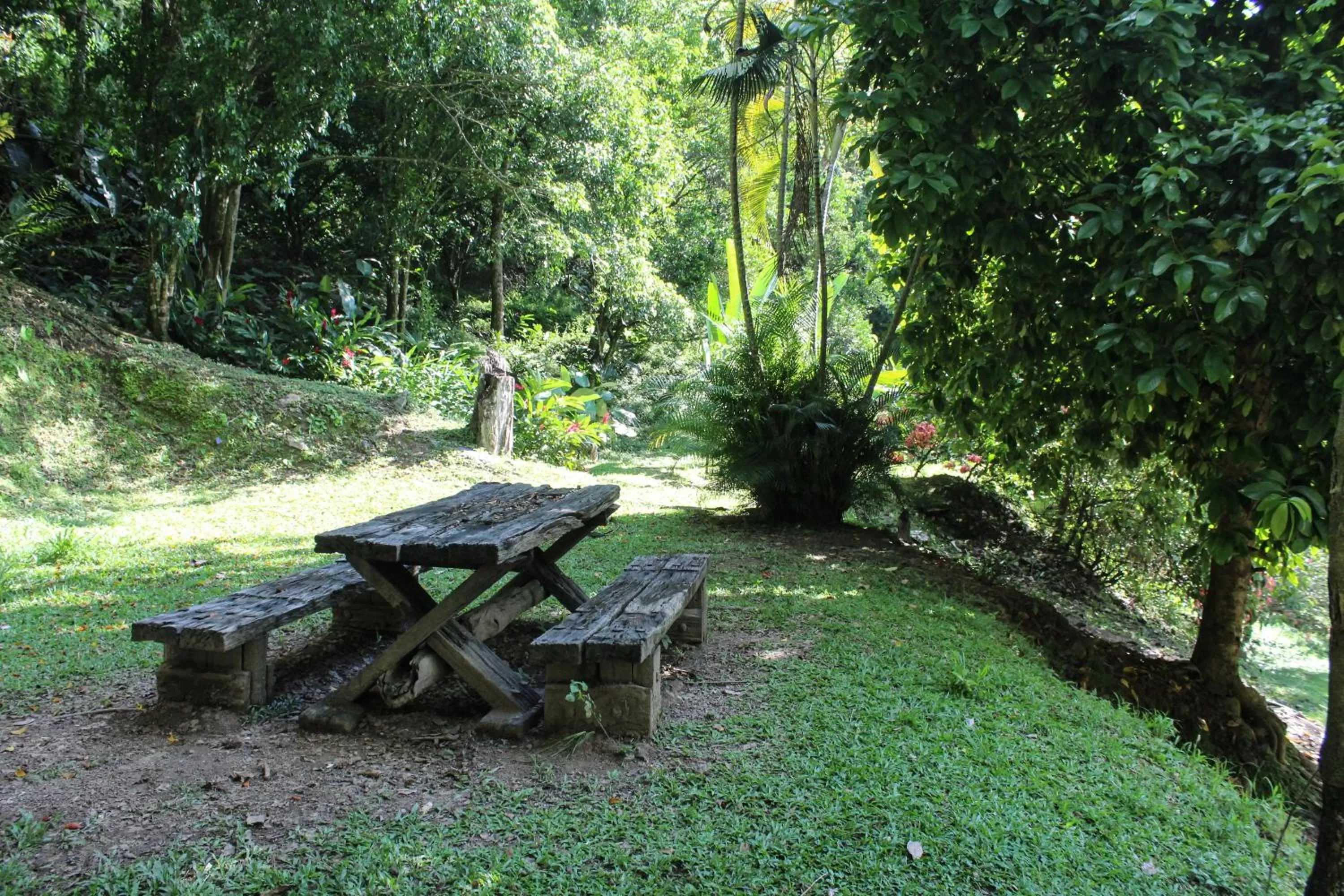 Natural landscape in Rio Escondido